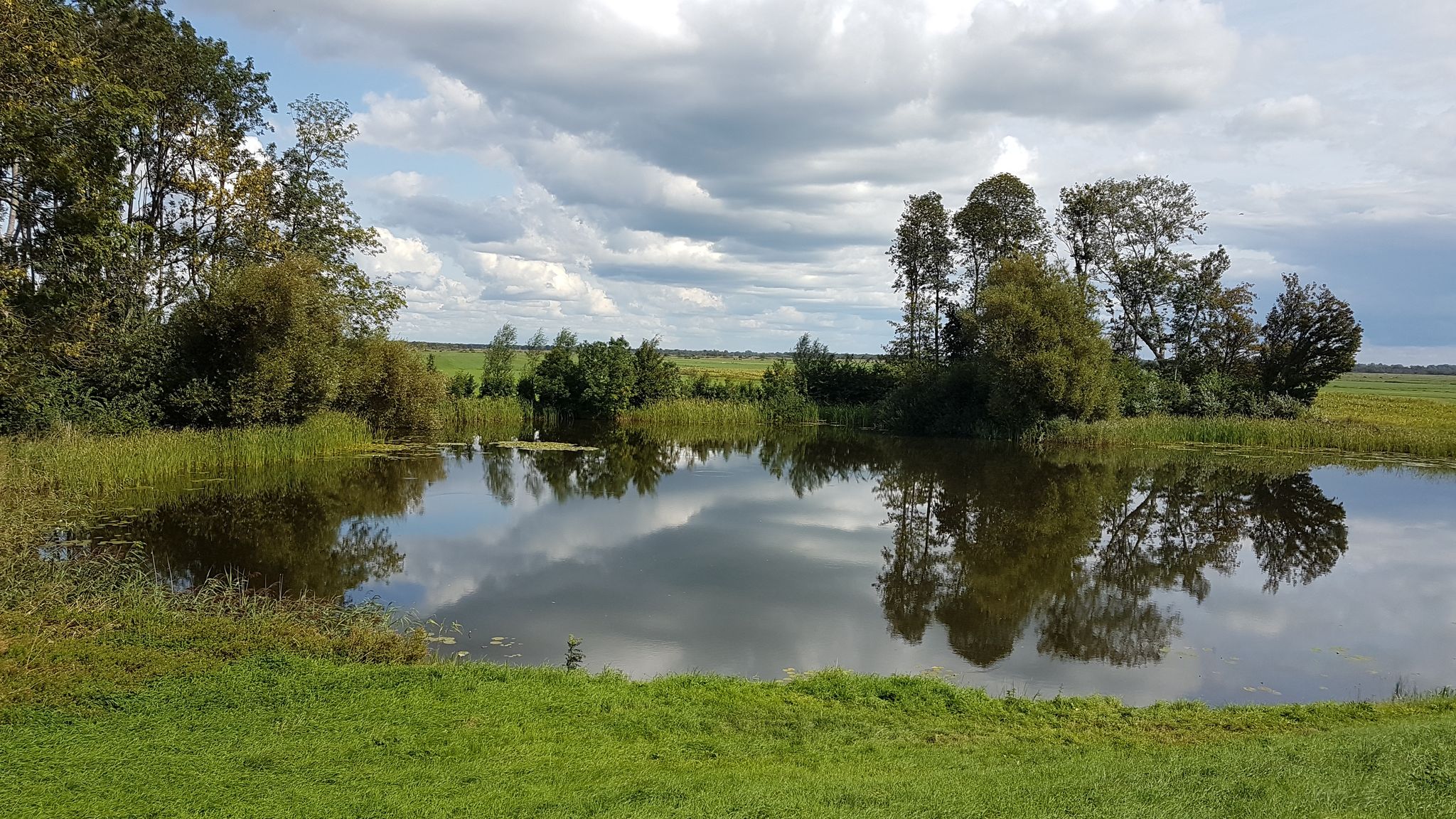 Weiher neben dem Blokzijlerdijk