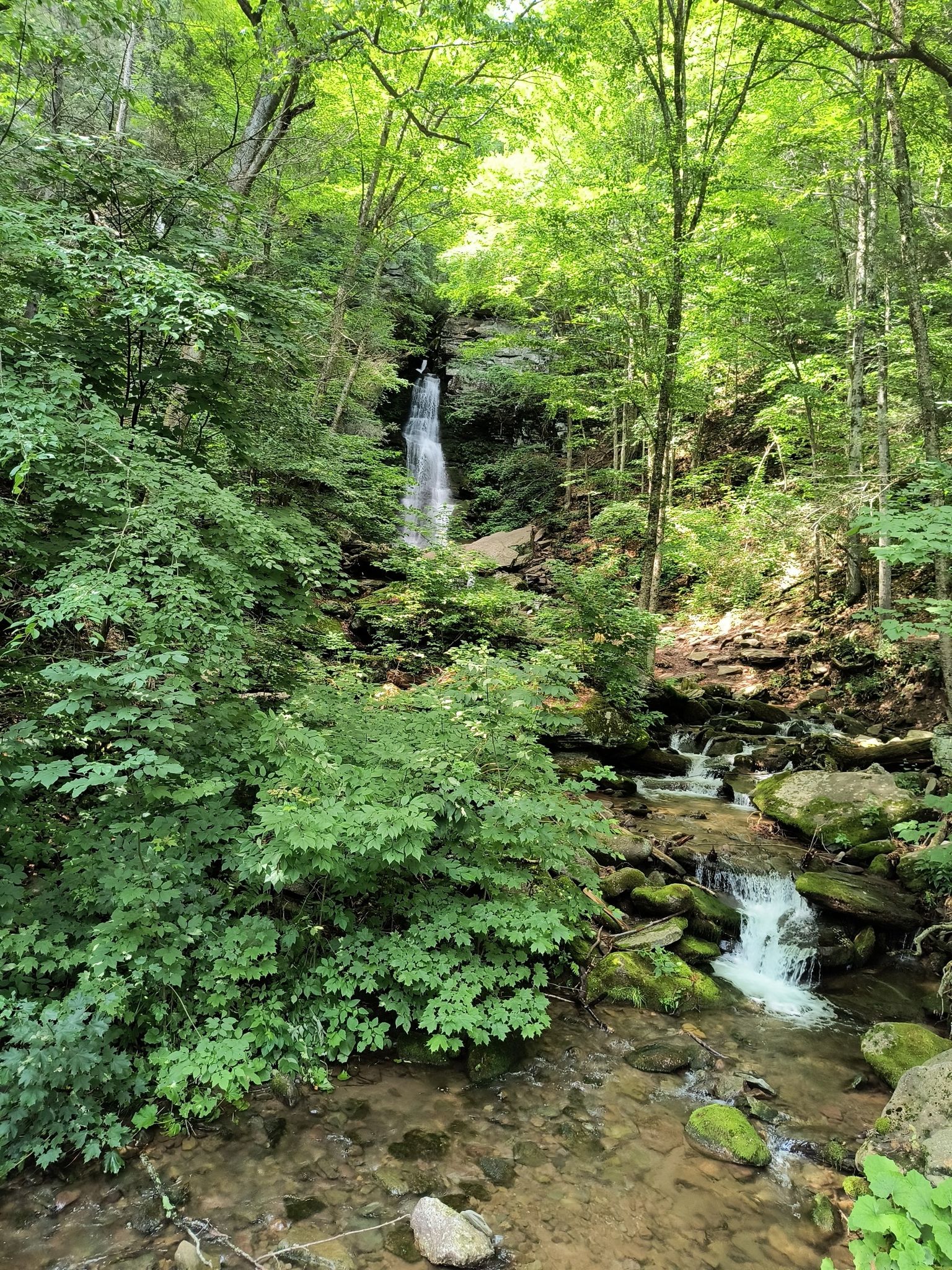 Tall waterfall cascading into a rocky stream within a lush green forest. - Slide Mountain Wilderness loop via Peekamoose Blue Hole