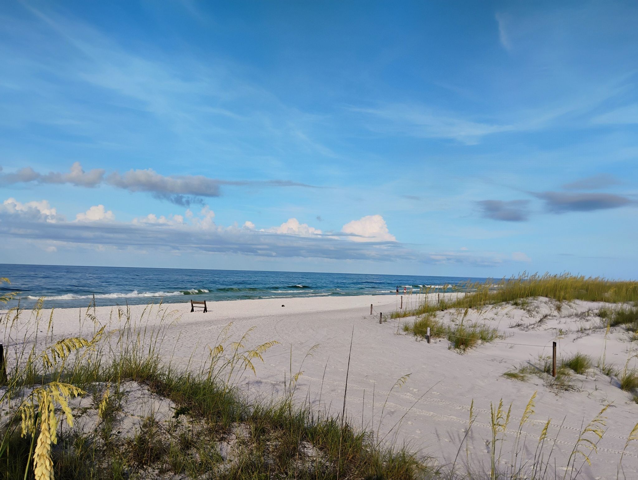 Peaceful white sand beach with grassy dunes, blue ocean, and a bright sky. - Topsail Hill Reserve Beach loop