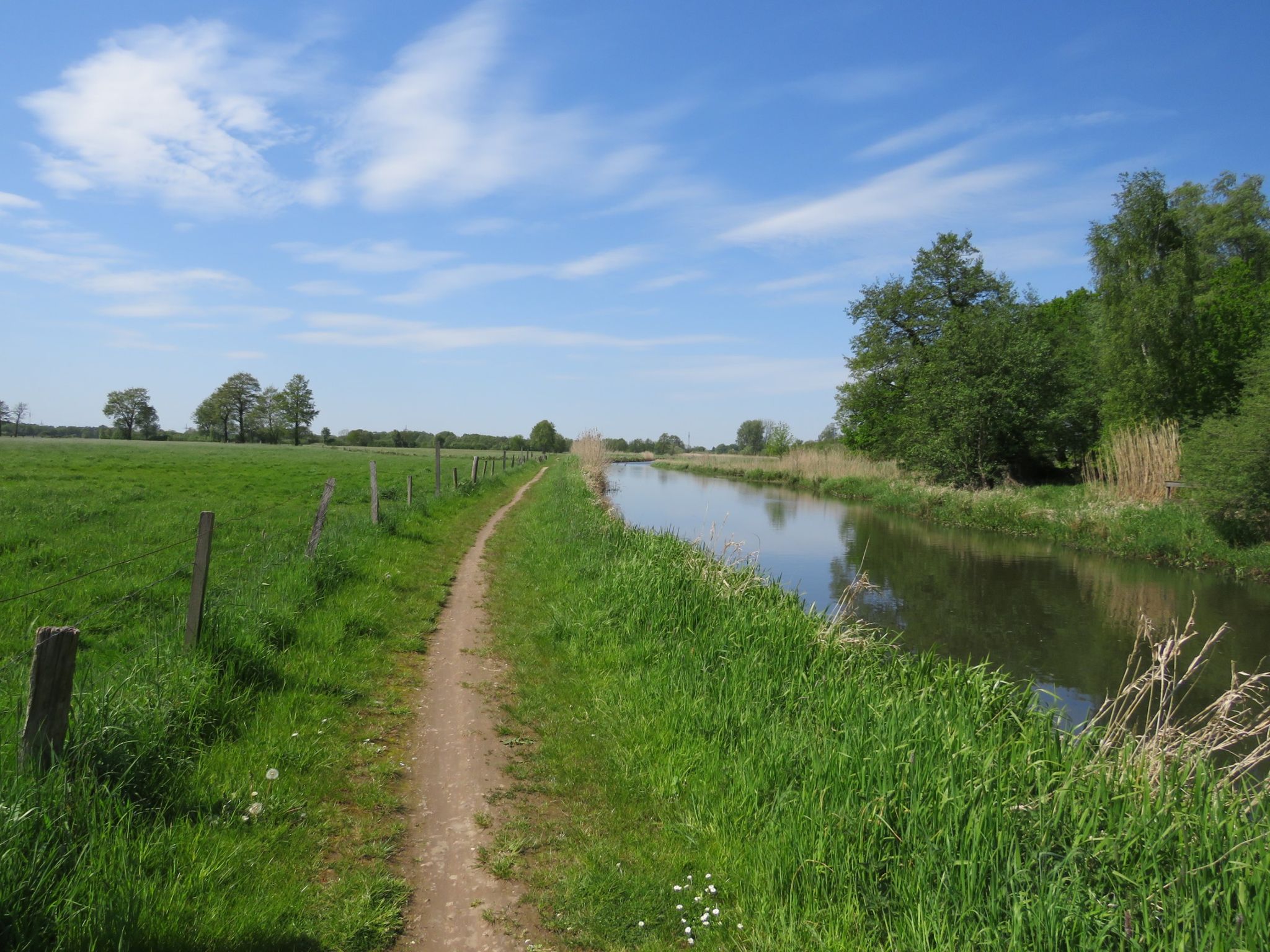 Single-Trail an der Neetze bei Fischhausen