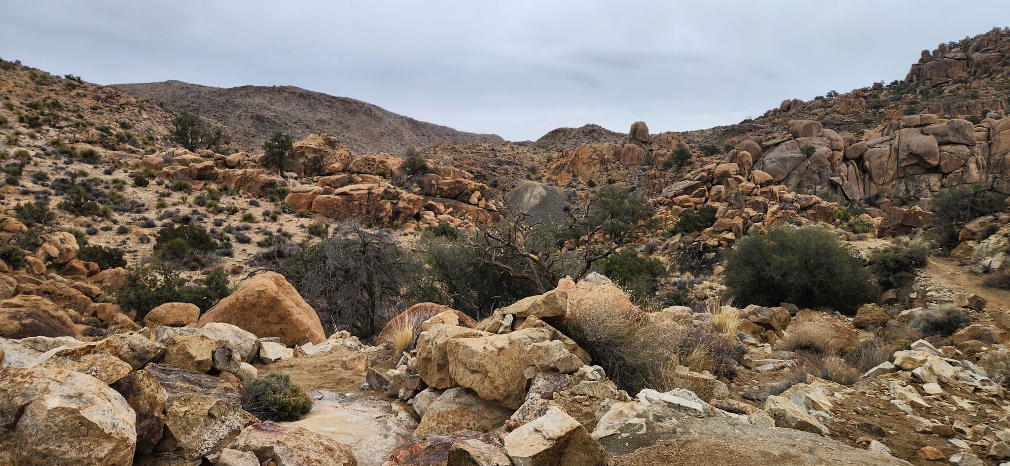 Overcast view of a rocky desert valley filled with large boulders and shrubs. - Desert Queen Mine and Eagle Cliff Mine Trail
