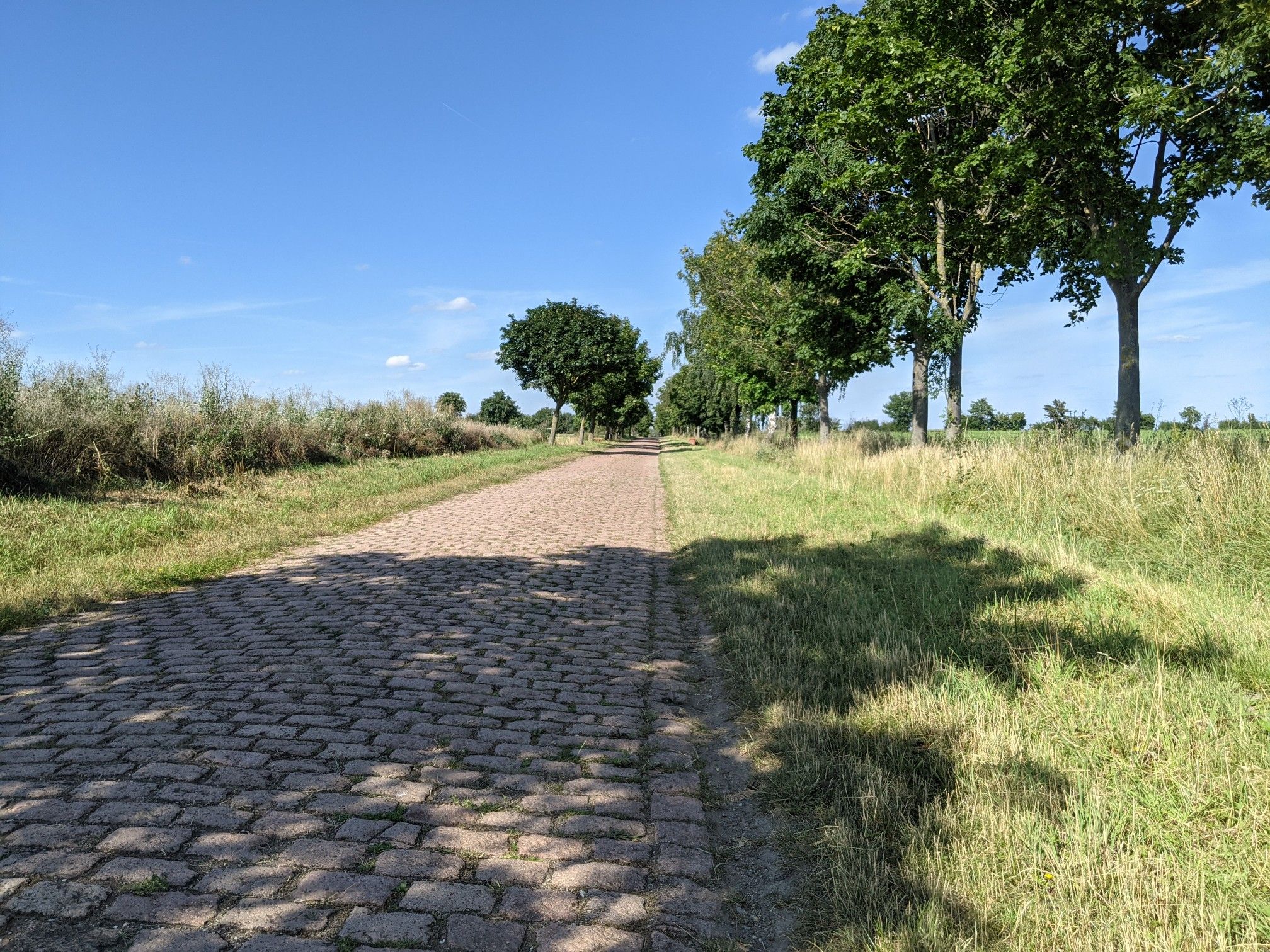 Richtung Großsteingrab Drosa (auch wenn man da nicht hin will)