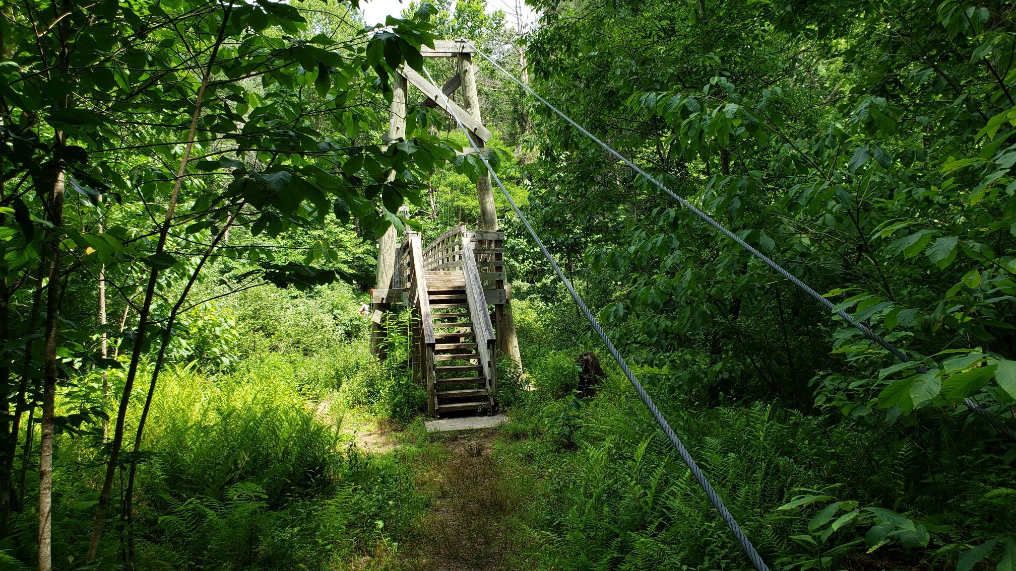 A wooden suspension bridge with stairs in a dense green forest. - Appalachian Trail: Long Mountain Wayside to Little Irish Creek