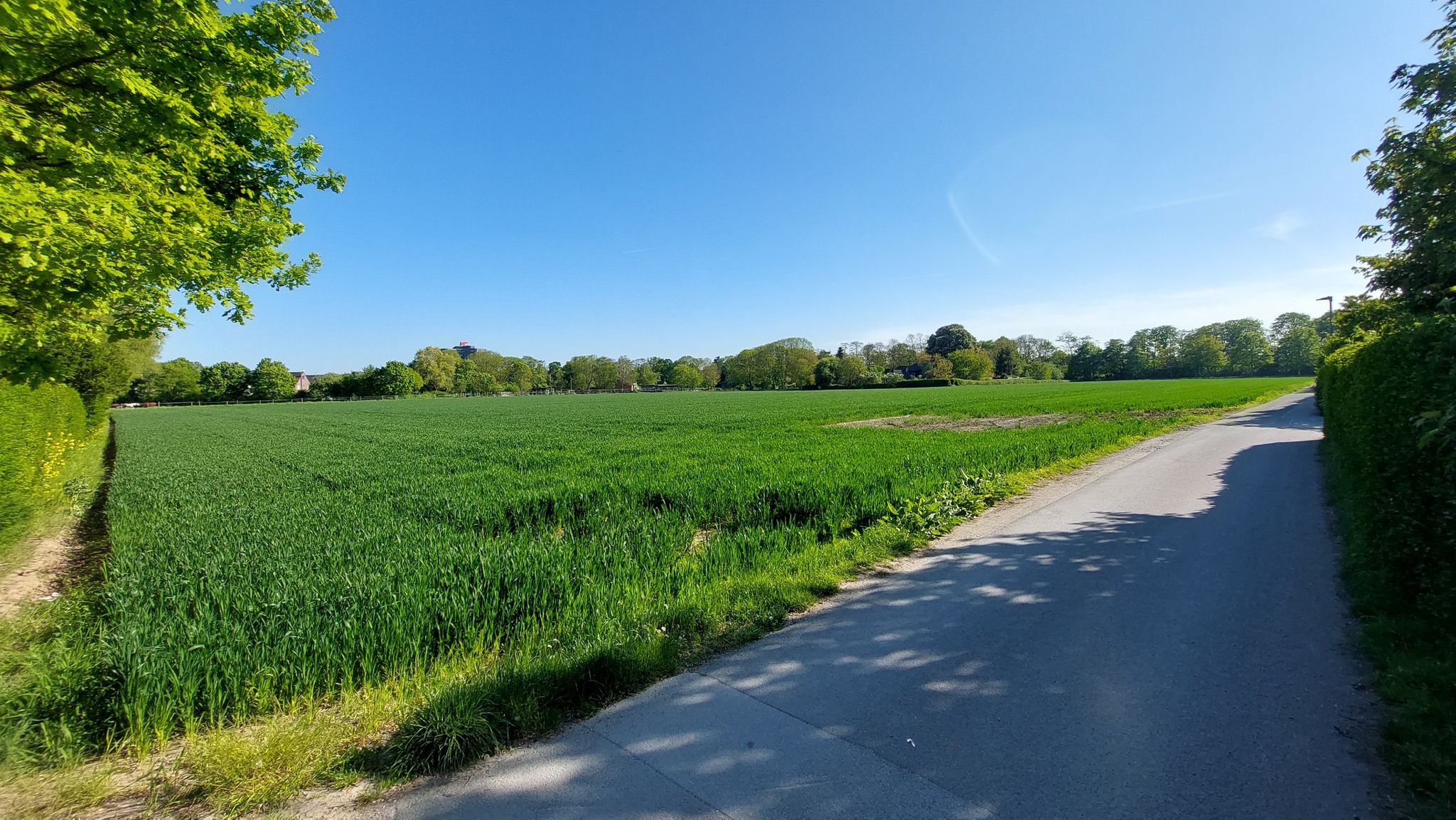 Ottostraße.