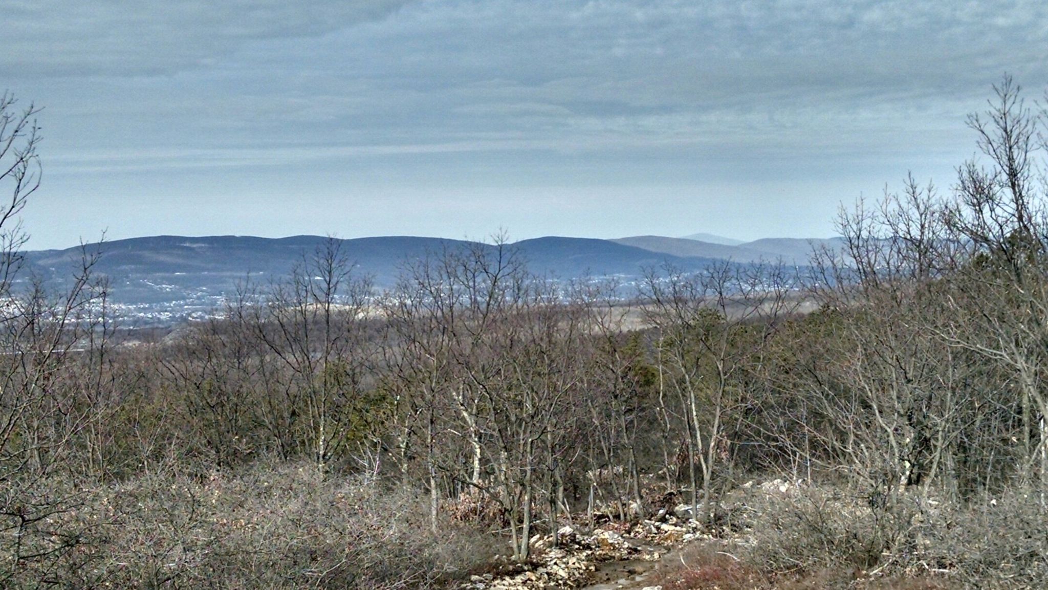 Bare winter trees on a hillside with hazy mountains under a cloudy sky. - Top of the World Trail