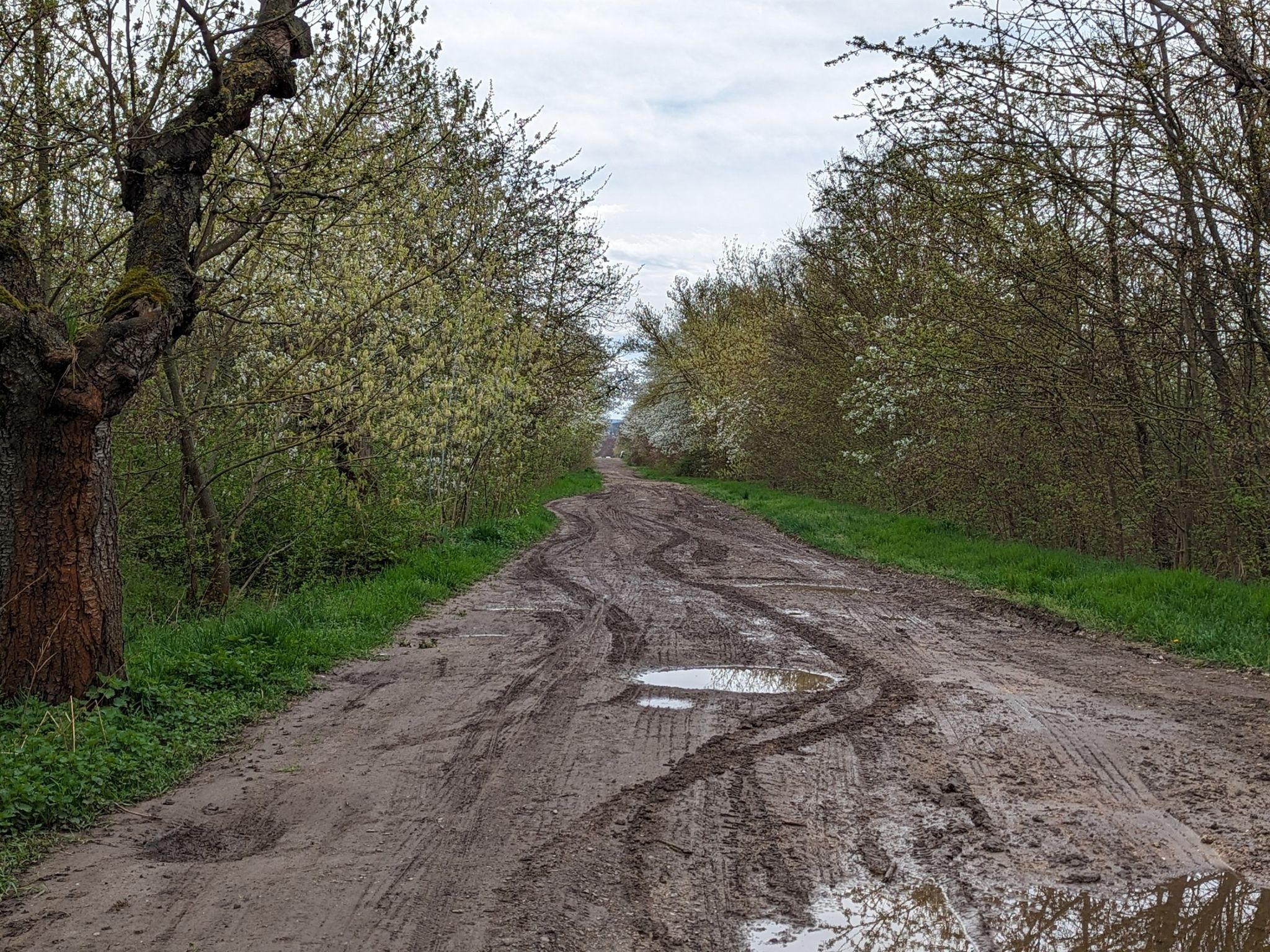 ganz einfach ist der Weg nicht