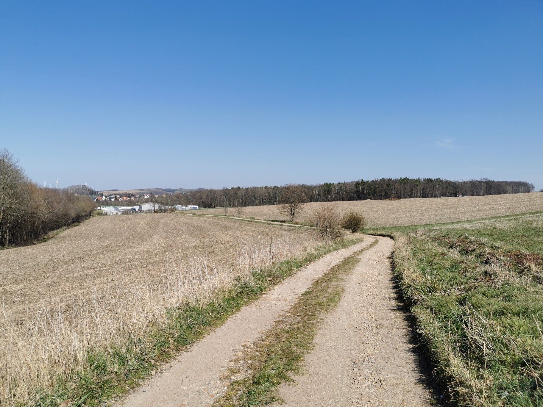 Vielauer Wald
