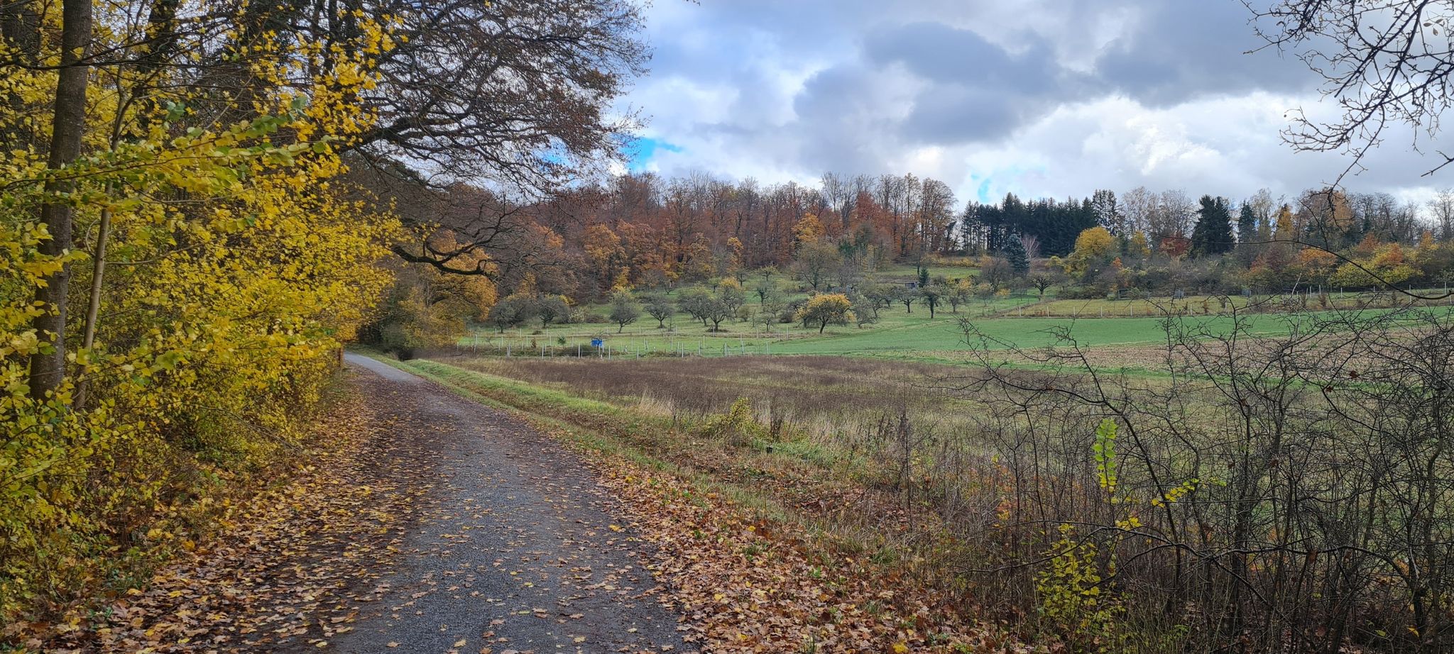 Naturerlebnispfad