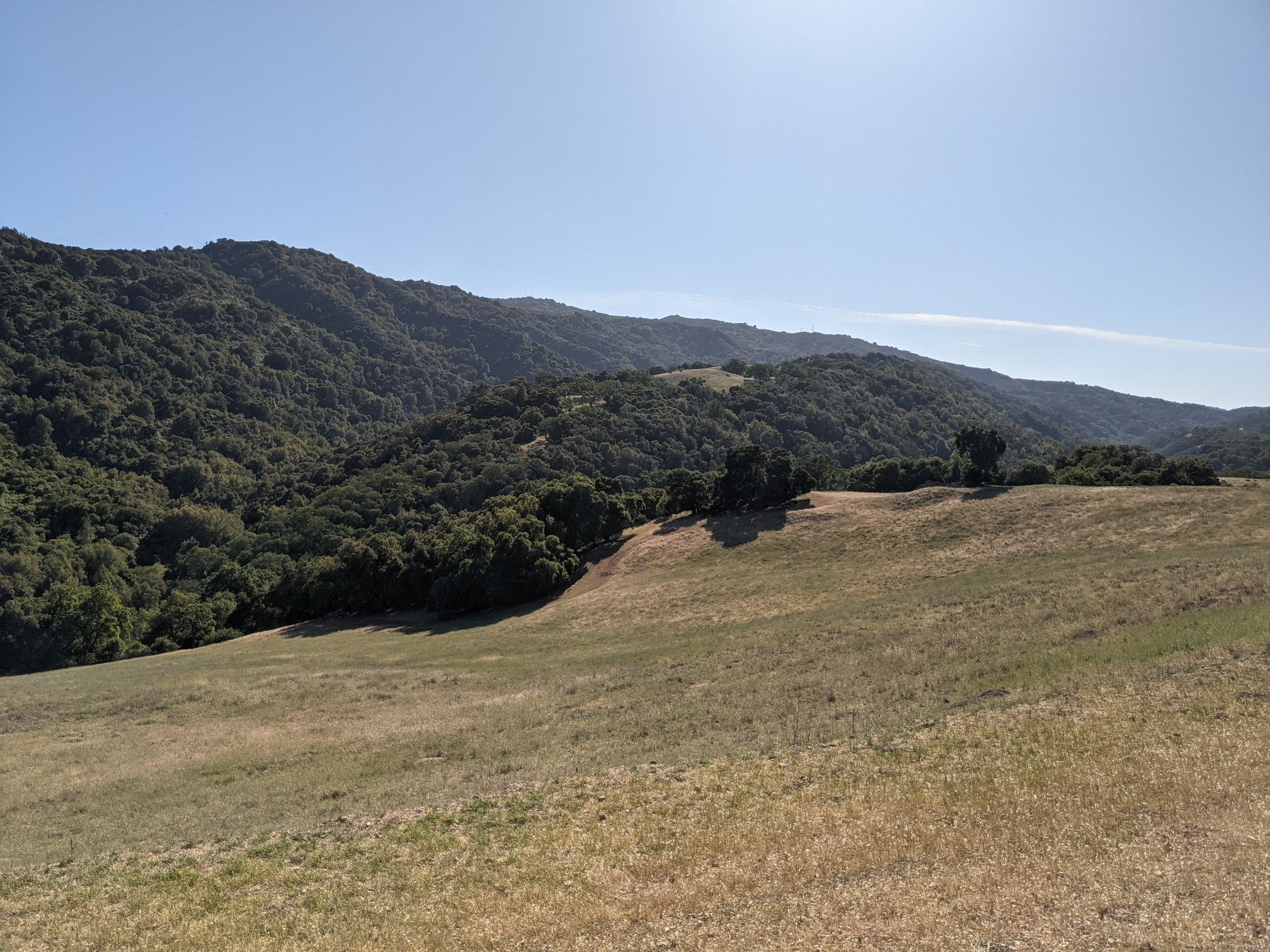 Vast landscape of dry golden fields leading to lush green forested mountains. - Bike loop from Saint Francis High School