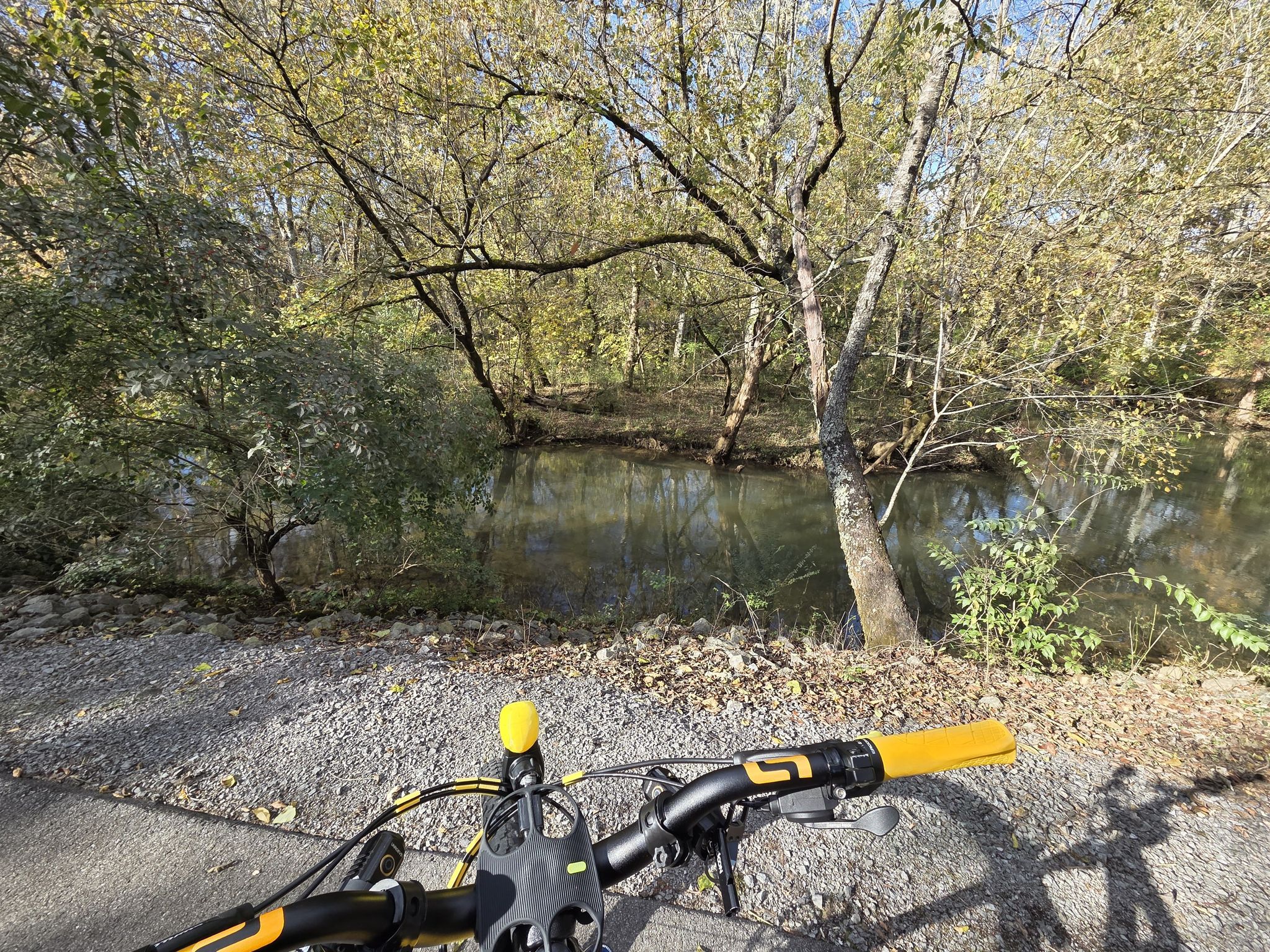 Bicycle handlebars overlooking a calm river surrounded by sunlit autumn trees. - Greenbelt Lake (Dry Riverbed) – Greenbelt Lake loop from McGhee Tyson Airport