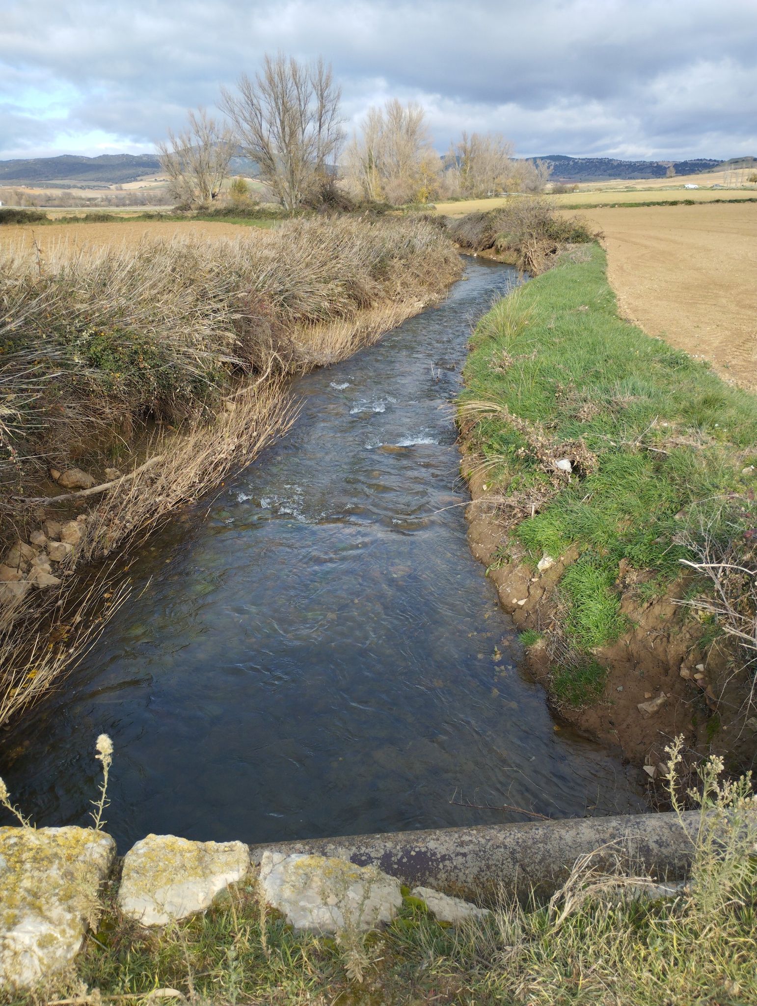 El Huerva con agua :)))