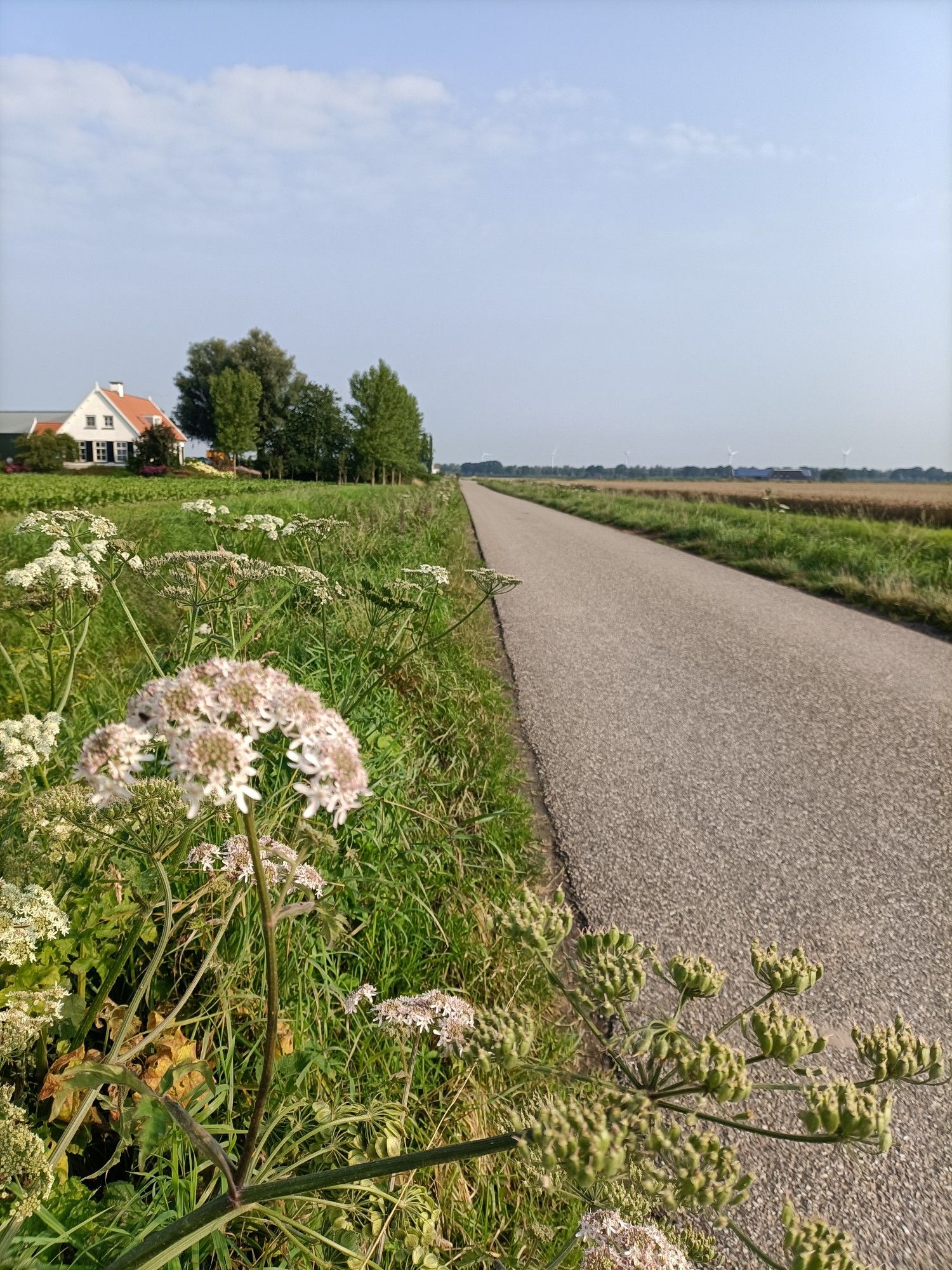 polder bij Klundert