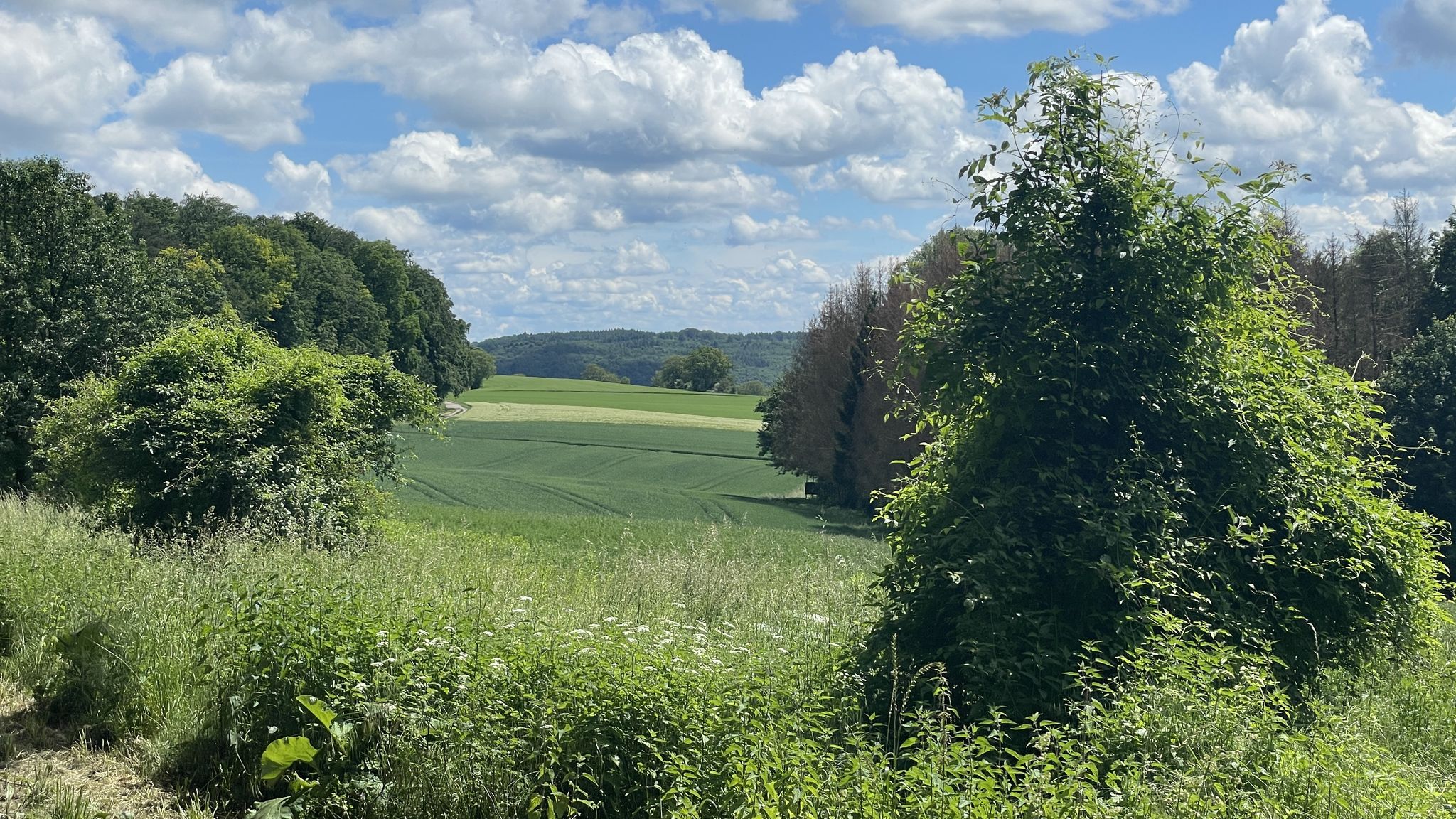 Auf dem Hubweg nach Zuzzenhausen