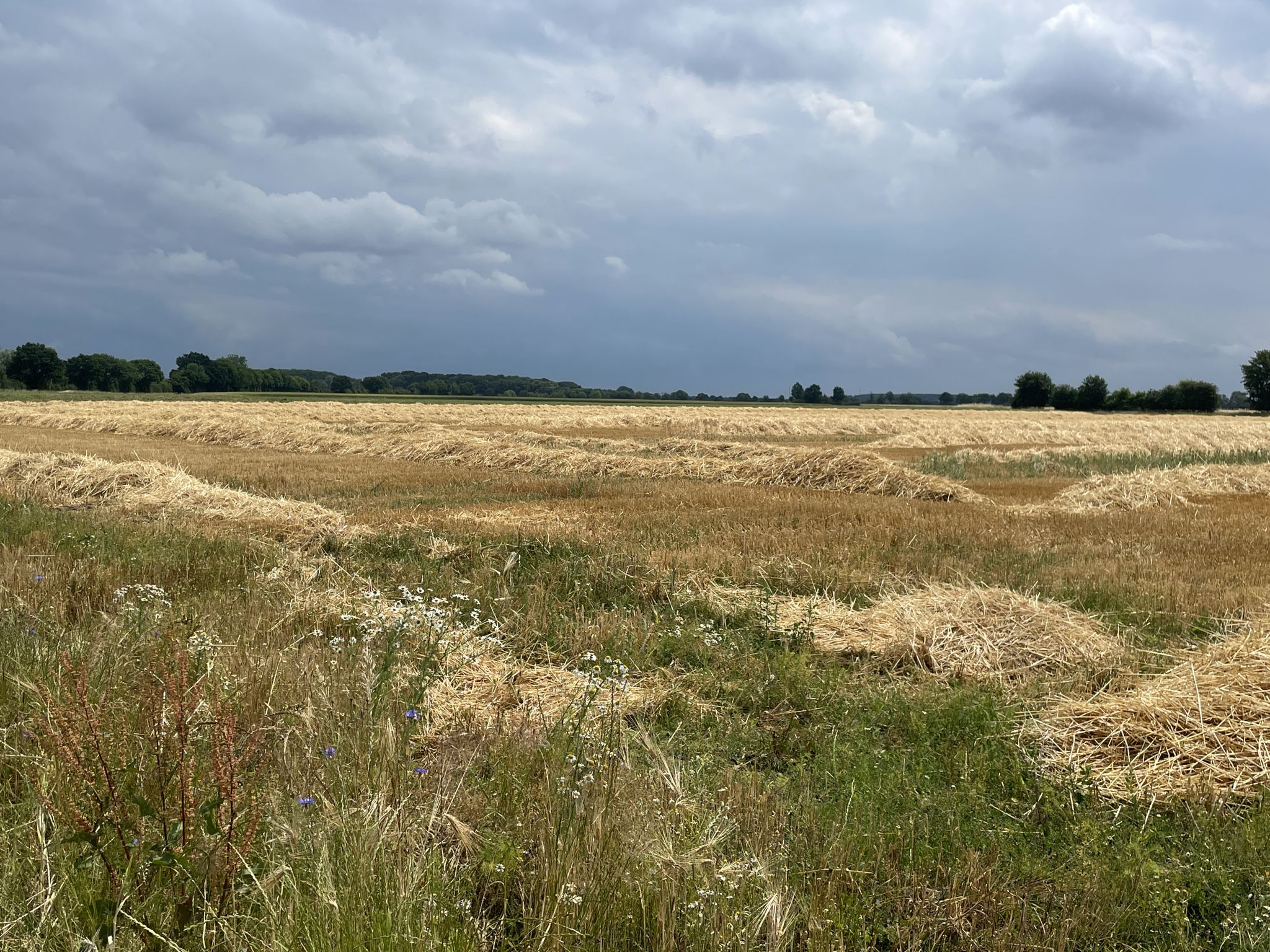 Gewitter droht