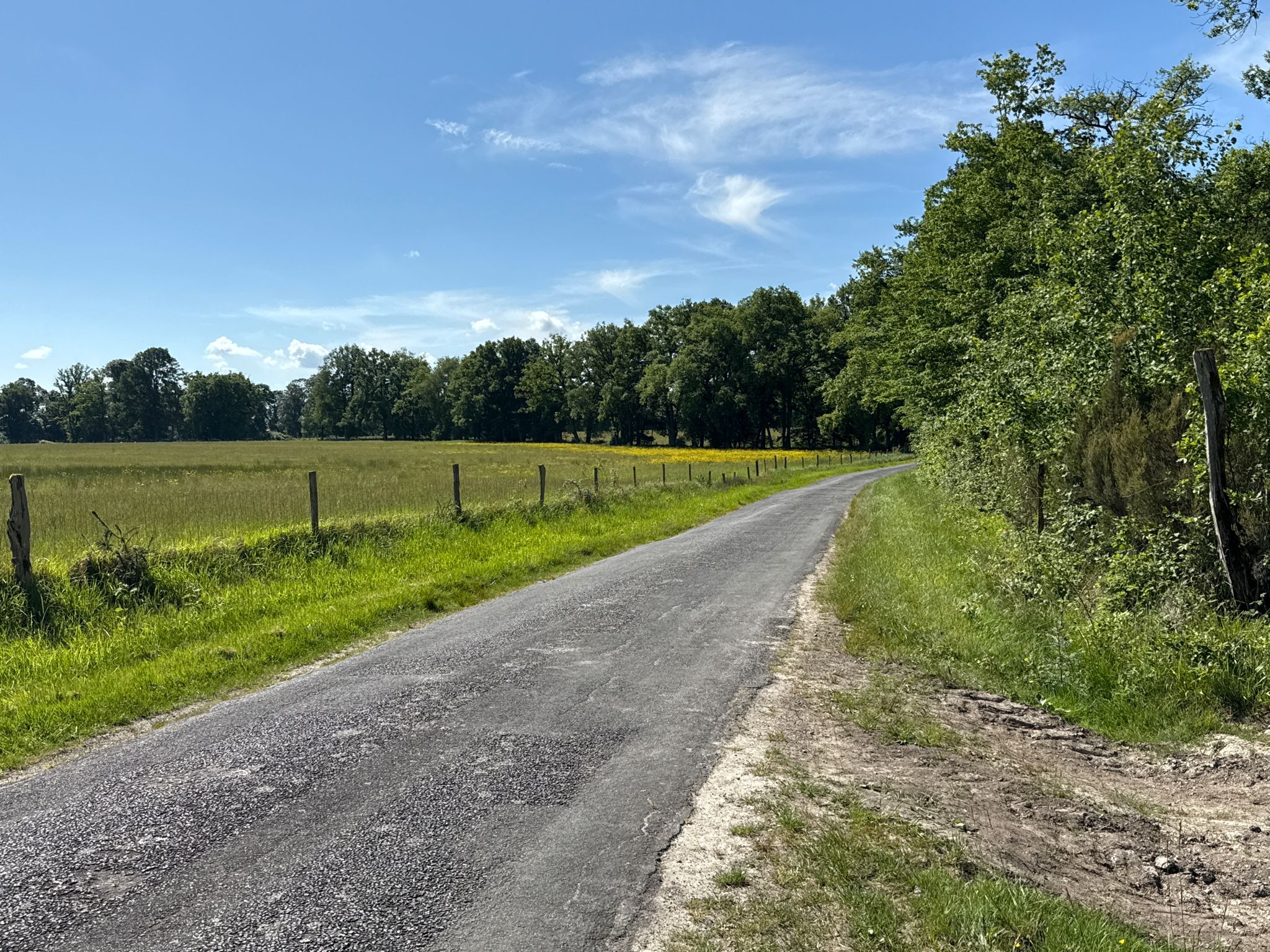 Veloweg durch Wald und Wiesen