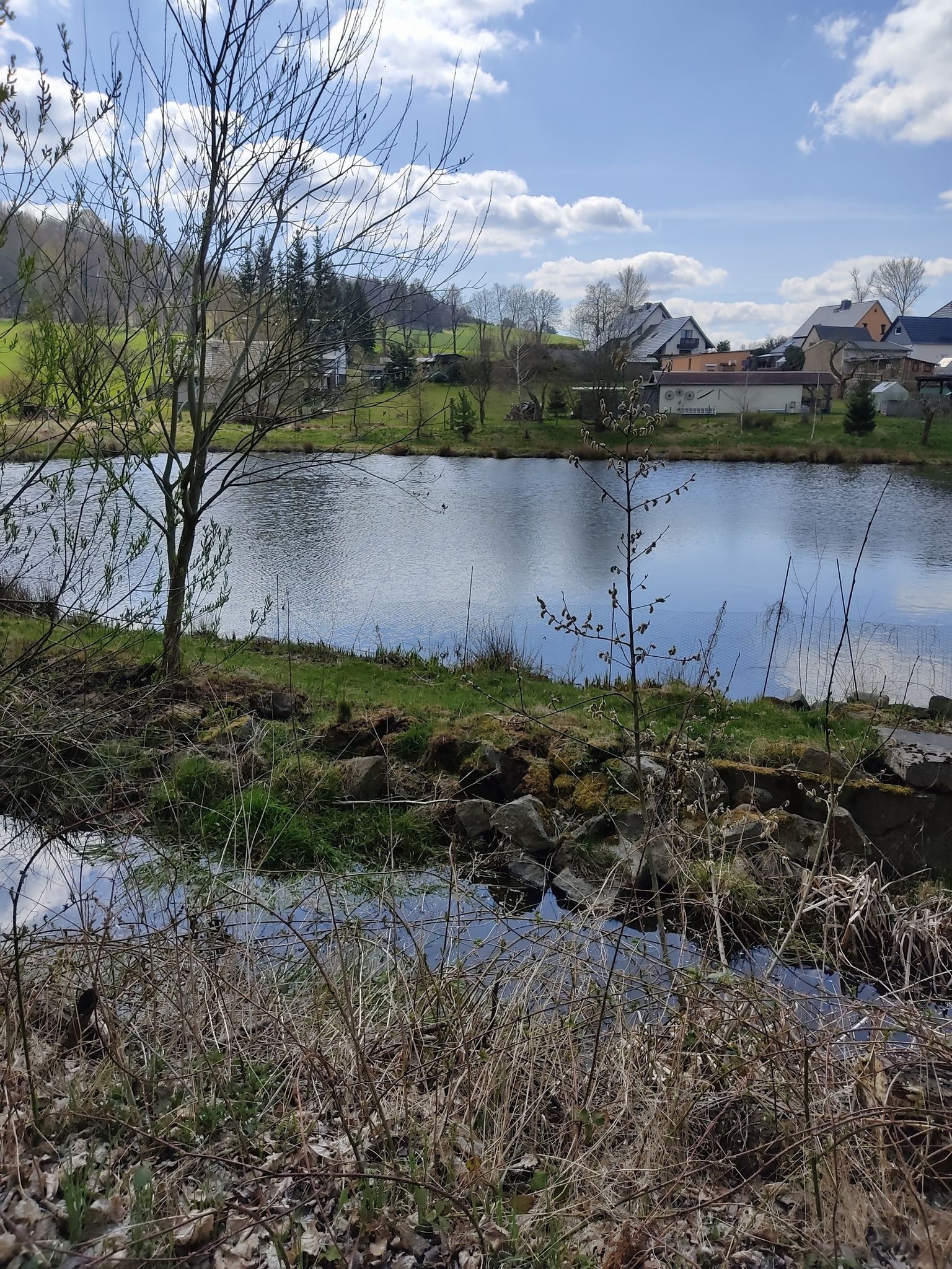 Buschmühlteich