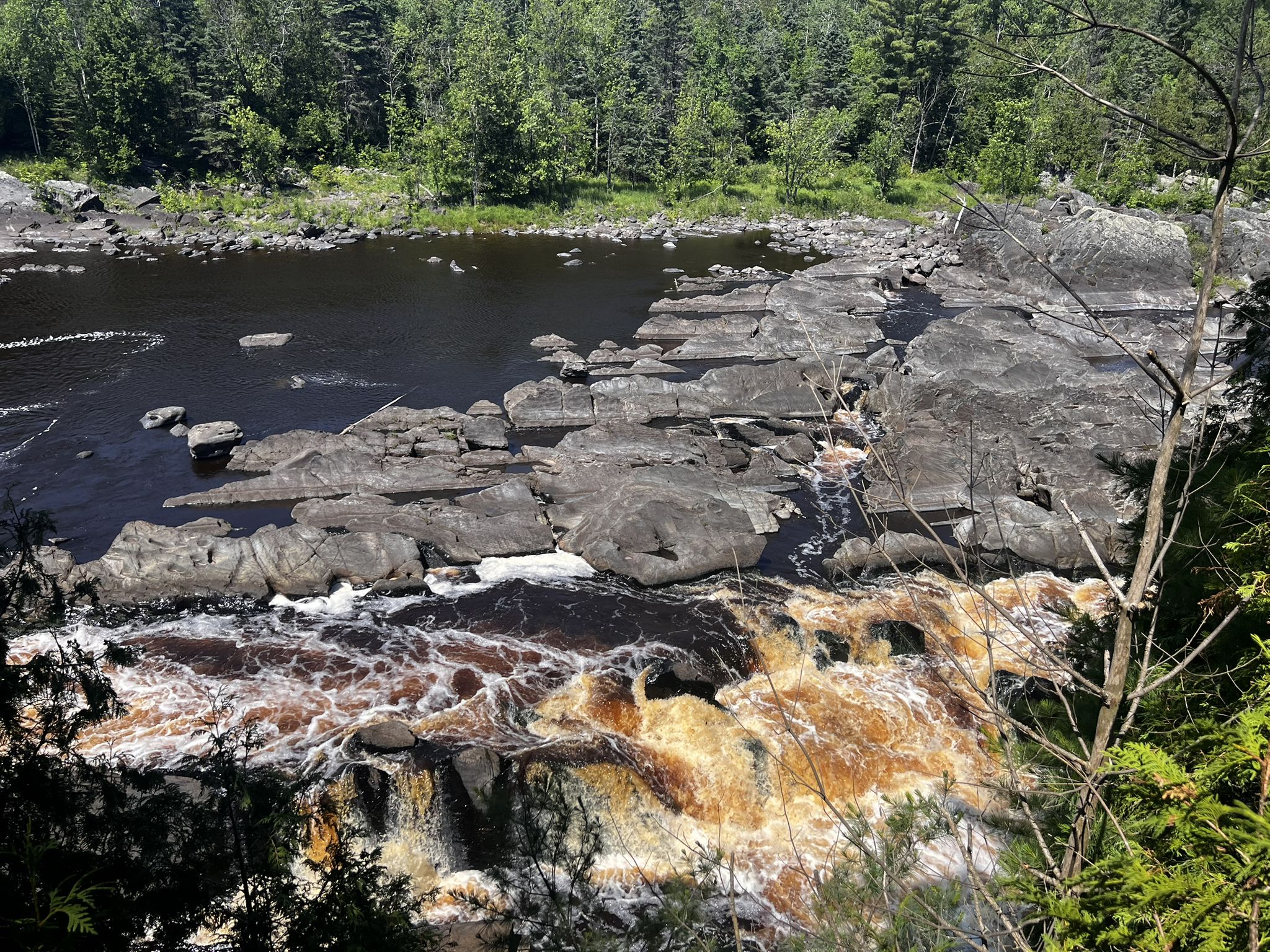 Dark river with rapids flowing over large rocks, surrounded by green forest. - Silver Creek Trail