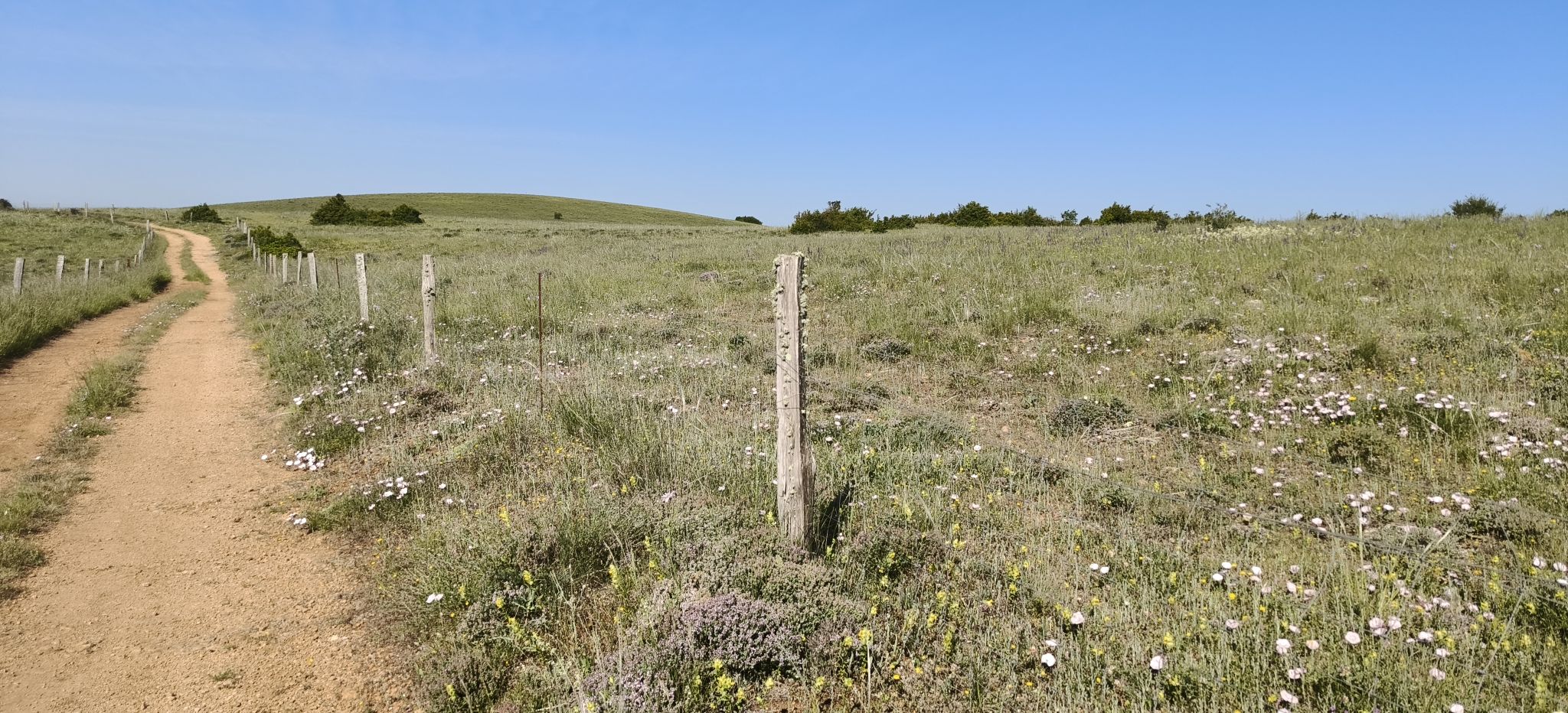 monotonitude du Larzac..🫩