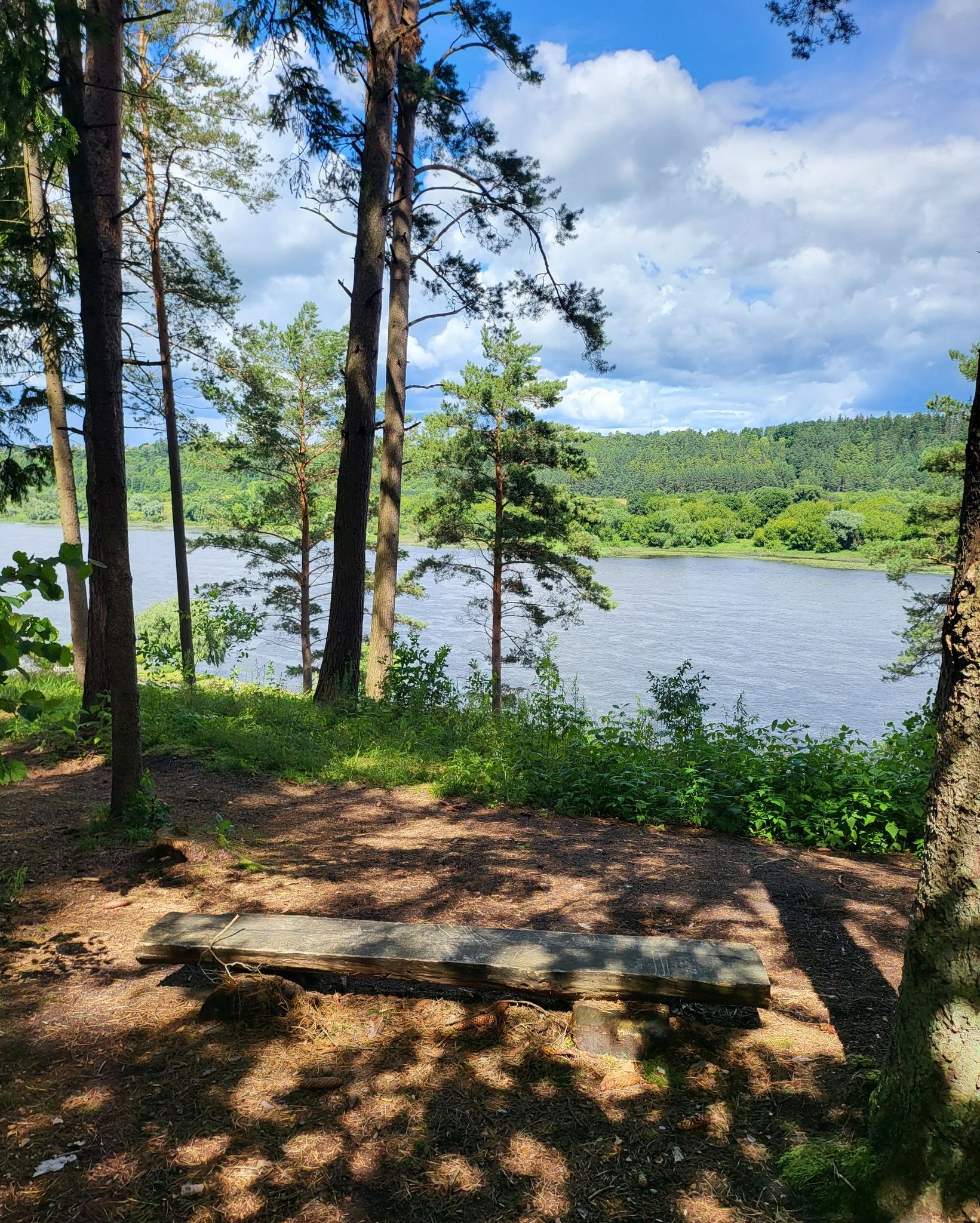 Panorama