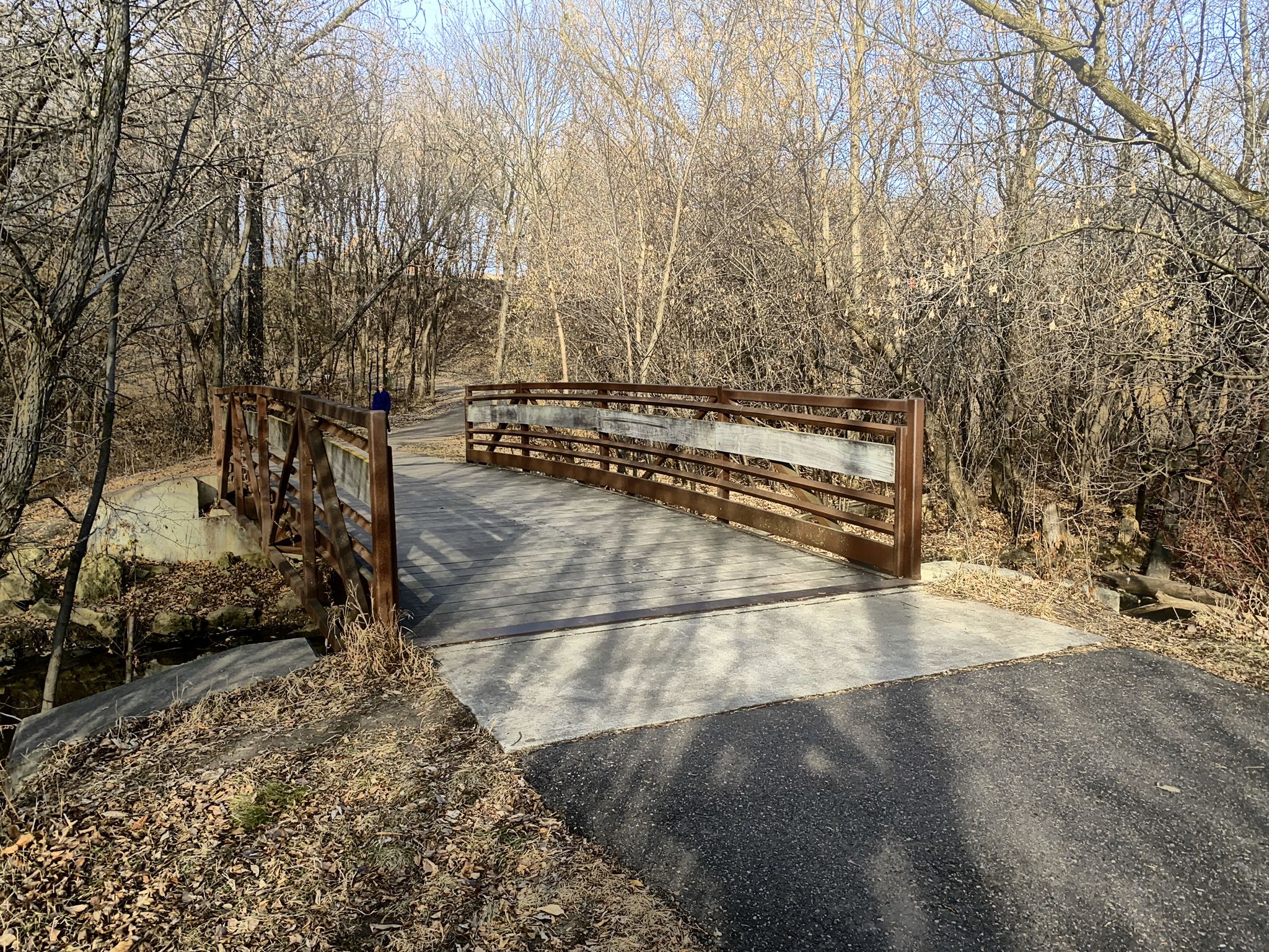A concrete and metal bridge spans a small stream in a bare winter forest. - Minnesota River Bluffs Trail – Riley Lake Park loop from Chanhassen