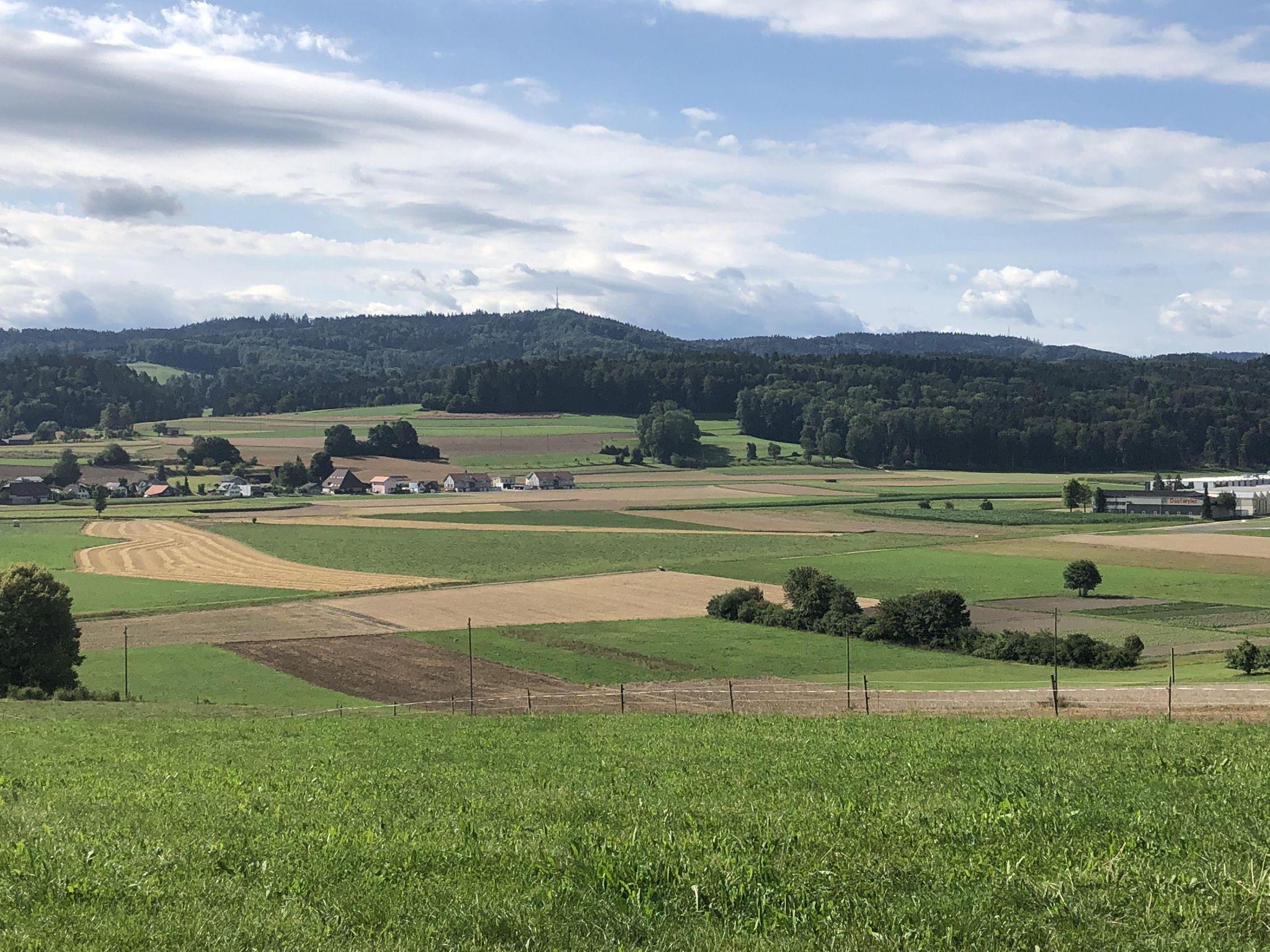 Das Ziel (Dornegg Gütsch) im Blick