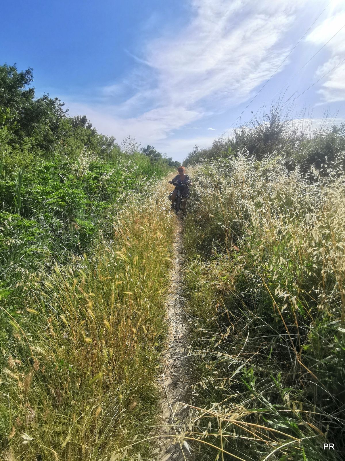 Herbes un peu hautes mais ça passe facile