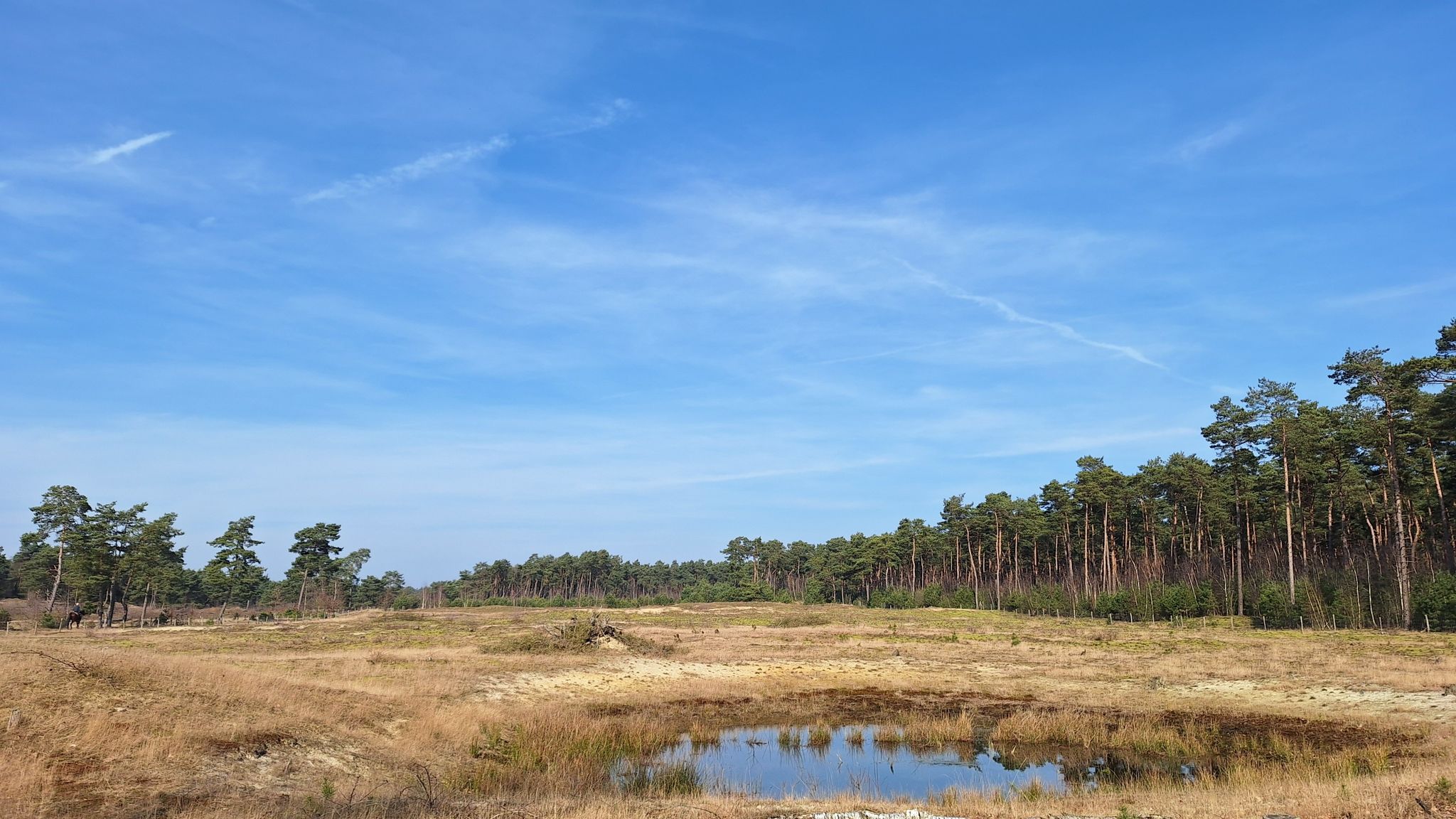 Heidevennetje