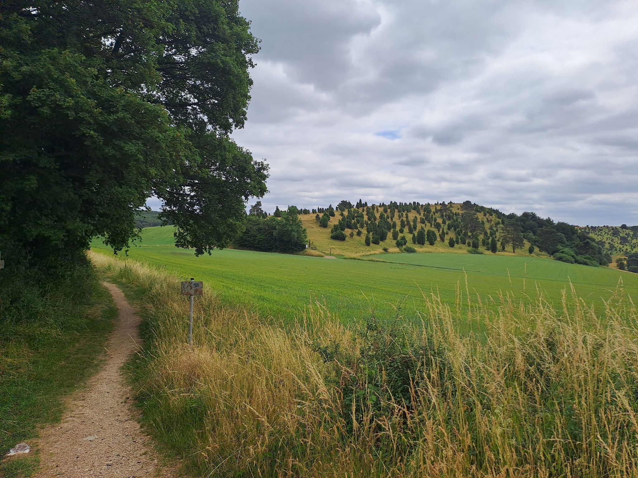 Na dann auf mit mir zum Kalvarienberg