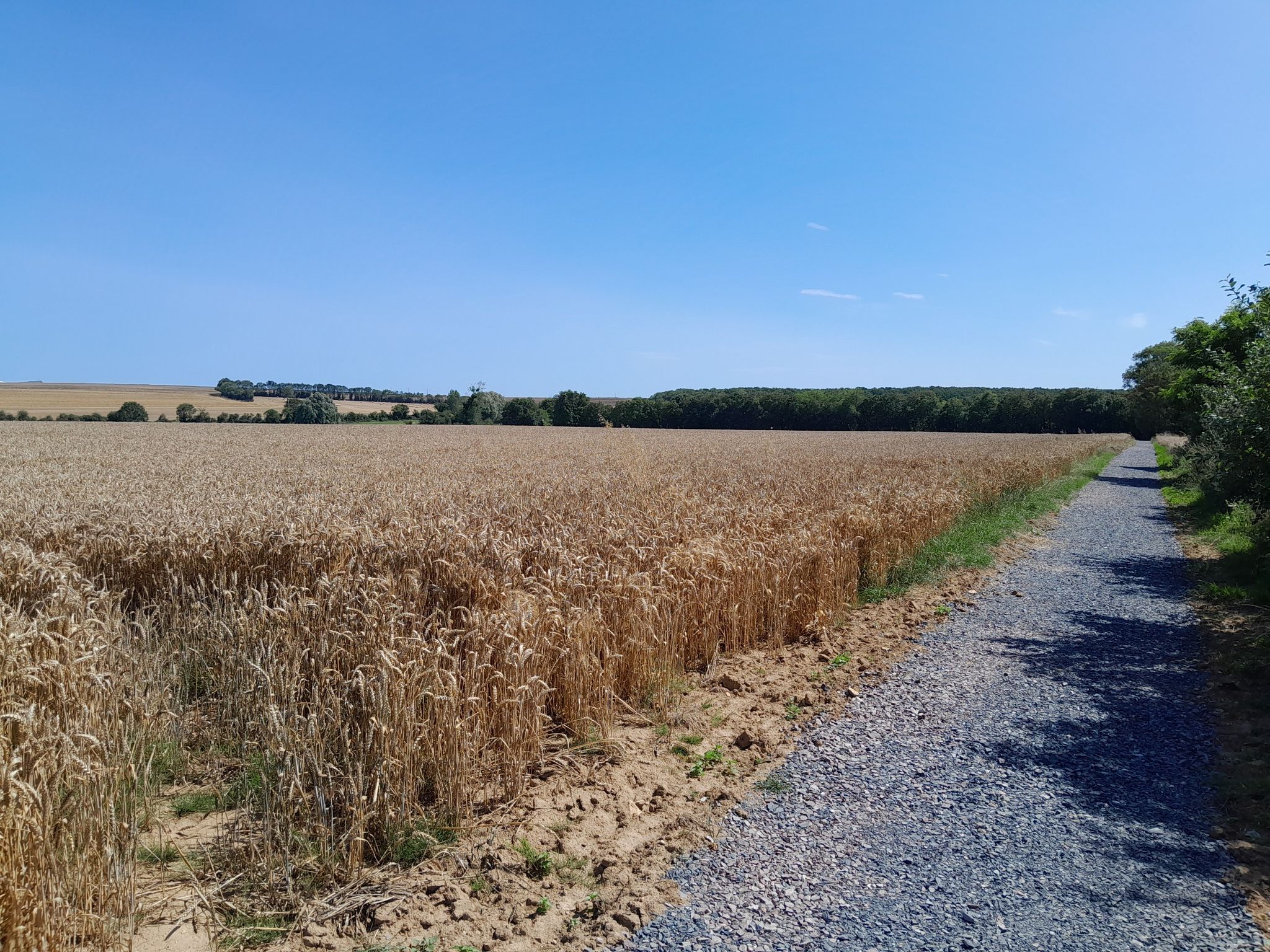 Sentier de la mule, Biéville