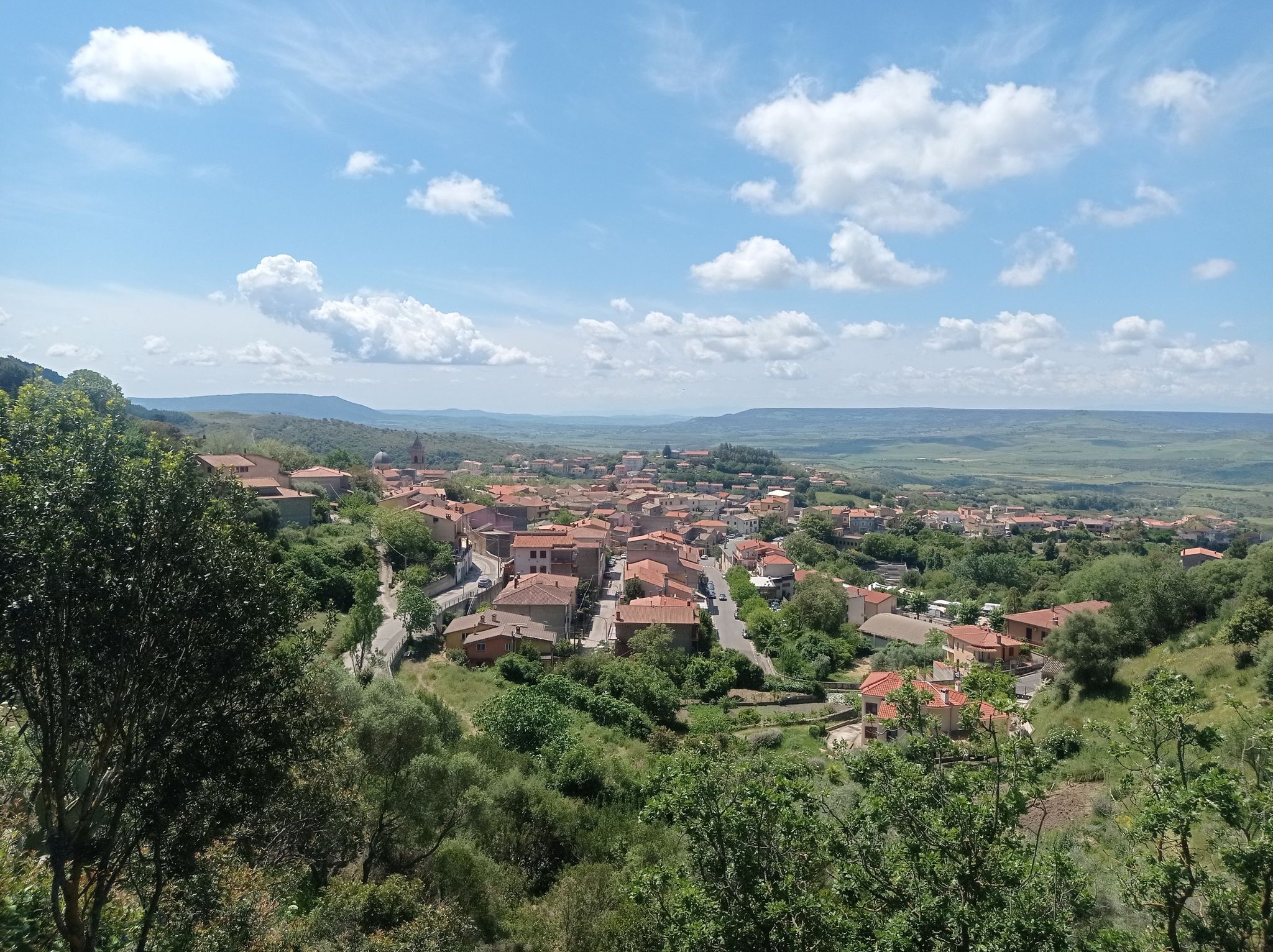 Laconi