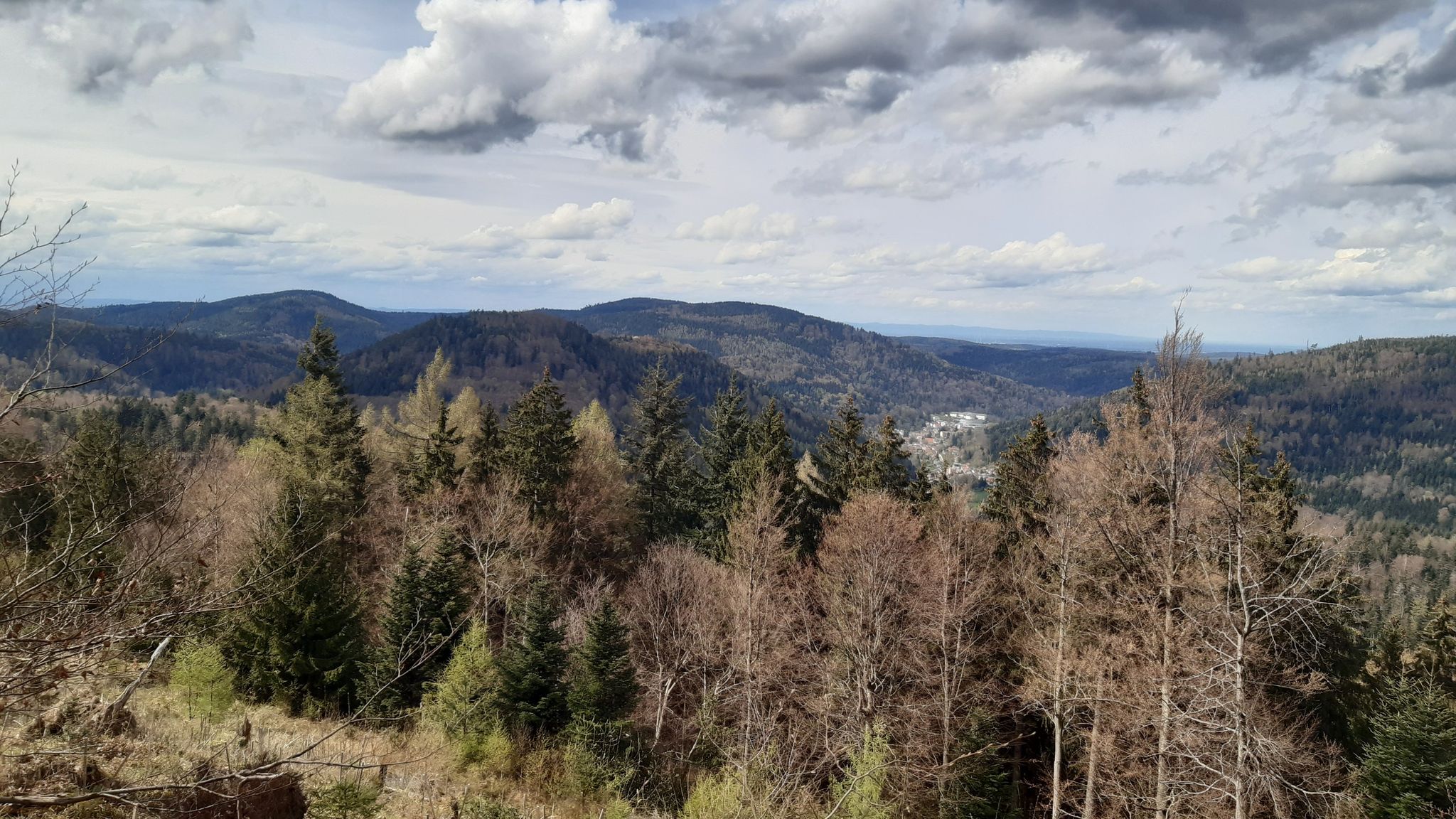 Blick Richtung Bad Herrenalb
