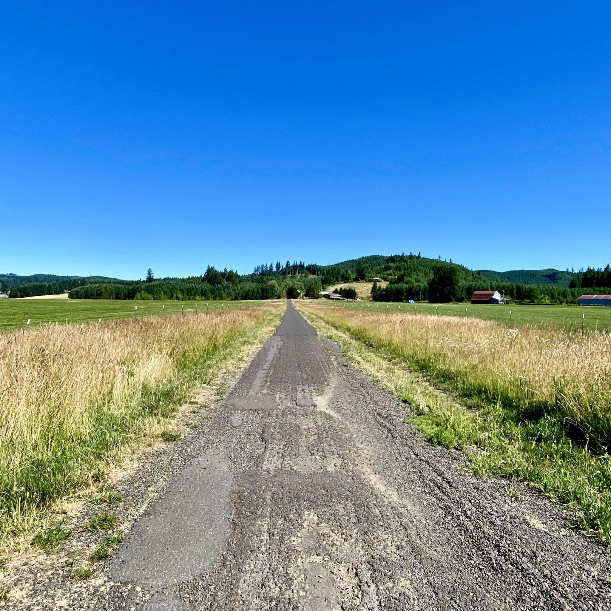 Paved road through golden fields, leading to distant green hills, bright sky. - Banks-Vernonia State Trail – Banks-Vernonia State Trail loop from Banks