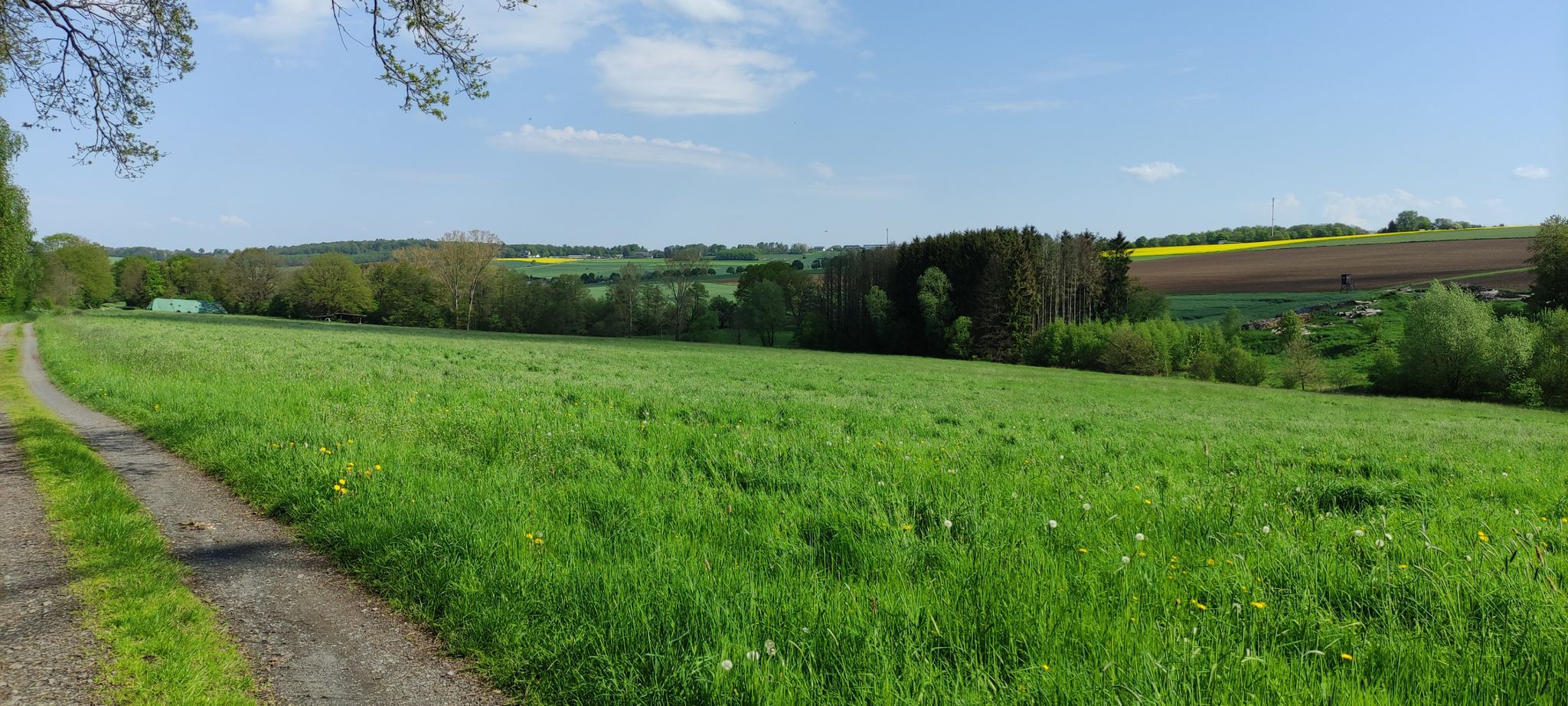 Hattert-Hütte-Weg