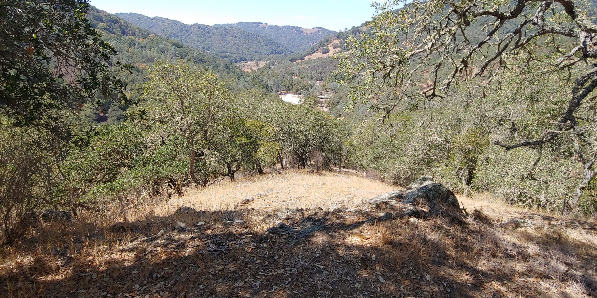 A sunny view from a rocky, dry overlook into a tree-filled valley. - Connector Trail Junction – Jim Donnelly Trail loop from Coyote Station 21