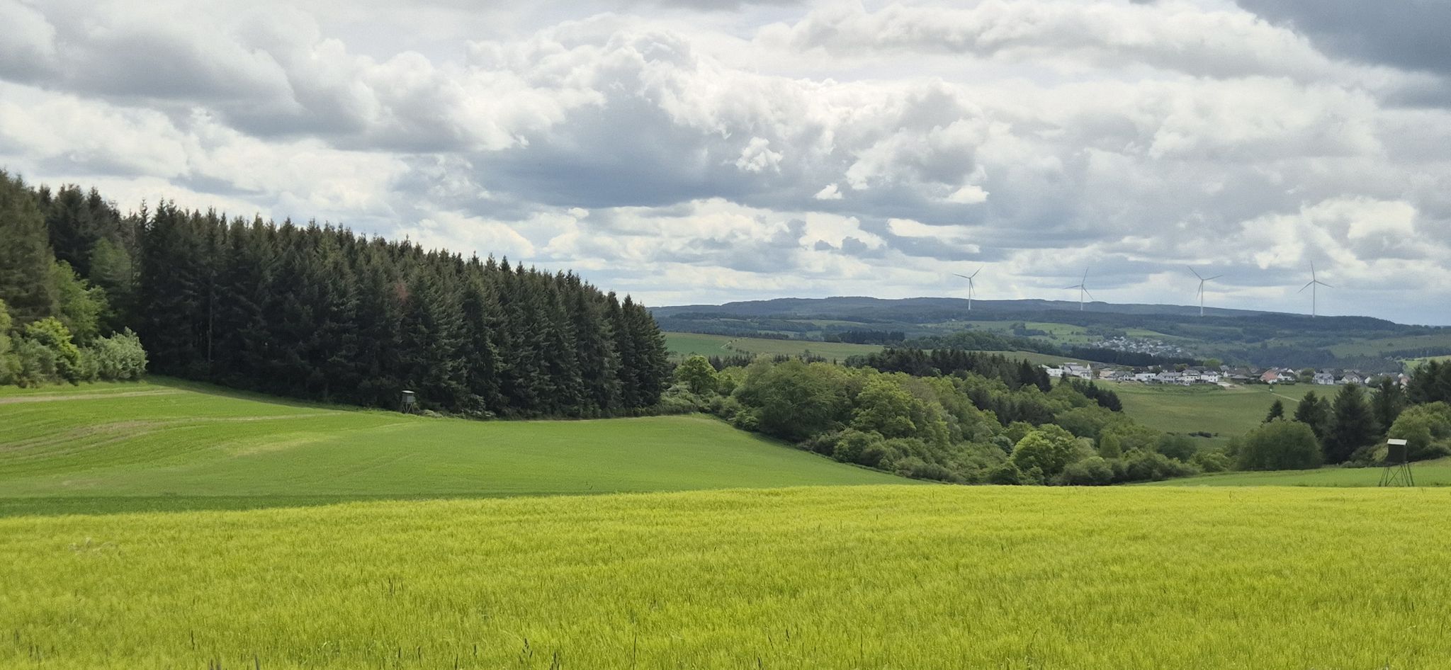 Blick über Wiesen nach Büdlich