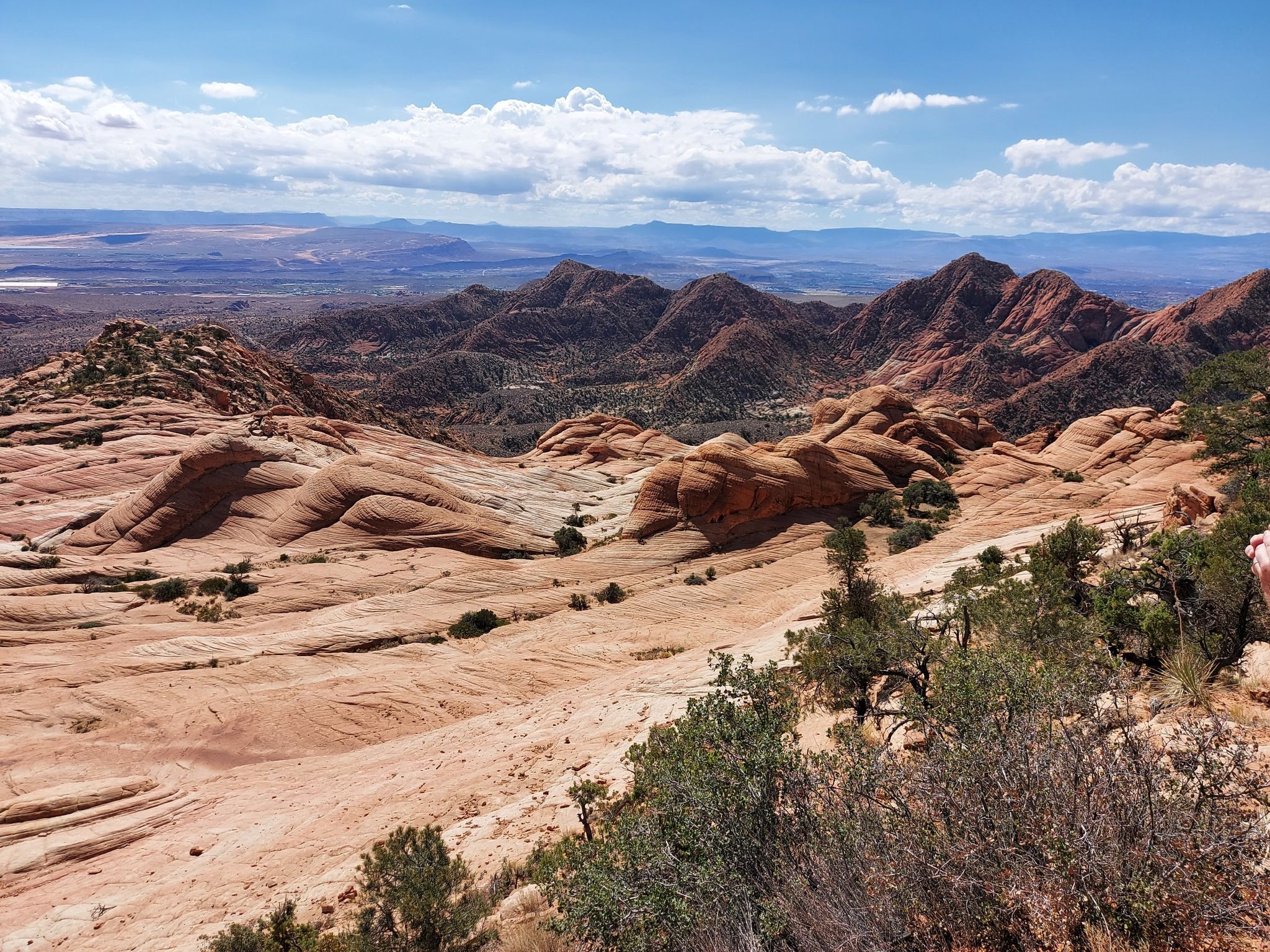 Vast desert landscape with rolling red rock formations under a bright sky. - Yant Flats to Candy Cliffs and Yellow Top
