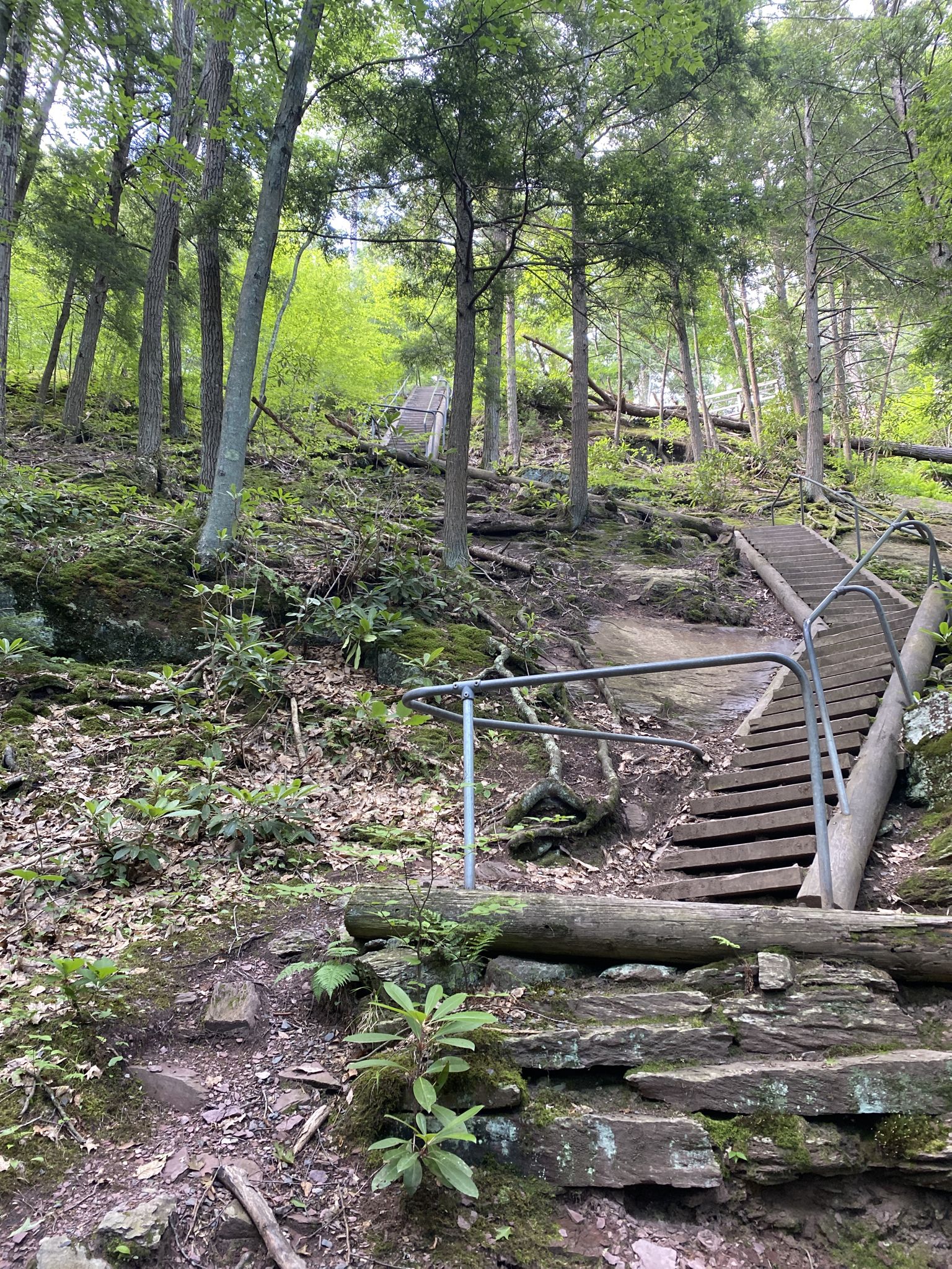 Wooden stairs with metal railings ascending a rocky, forested hillside. - Buttermilk Falls Trail