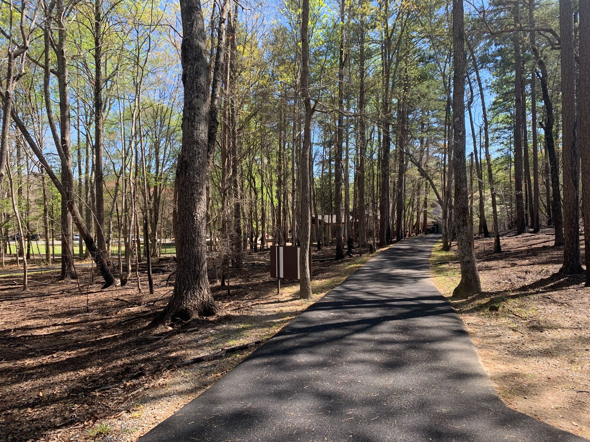 Paved path through a sunny forest with tall trees and dappled light. - Kings Mountain National Recreation Trail