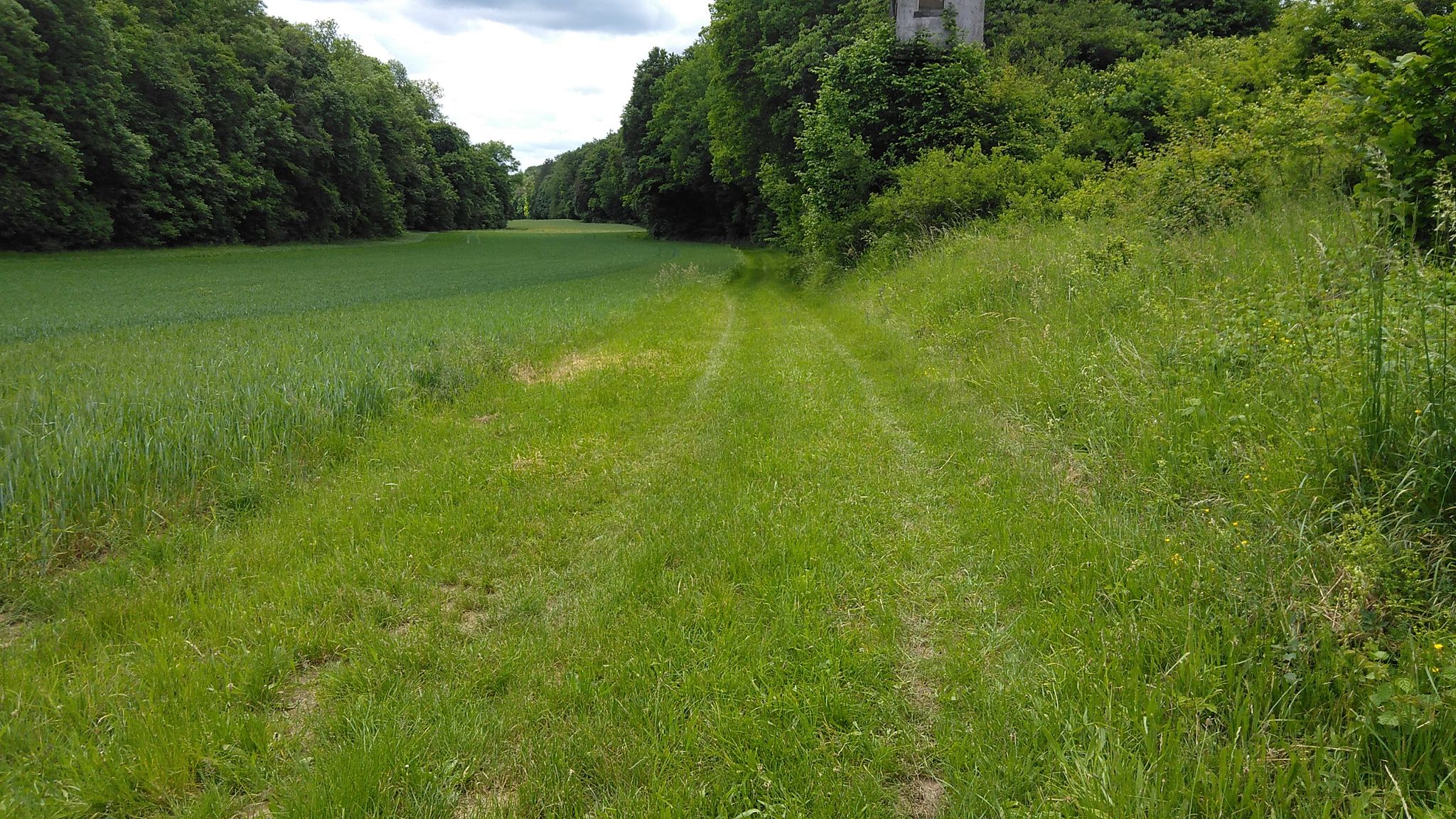 Wiesenpiste durch das Karlebachtal