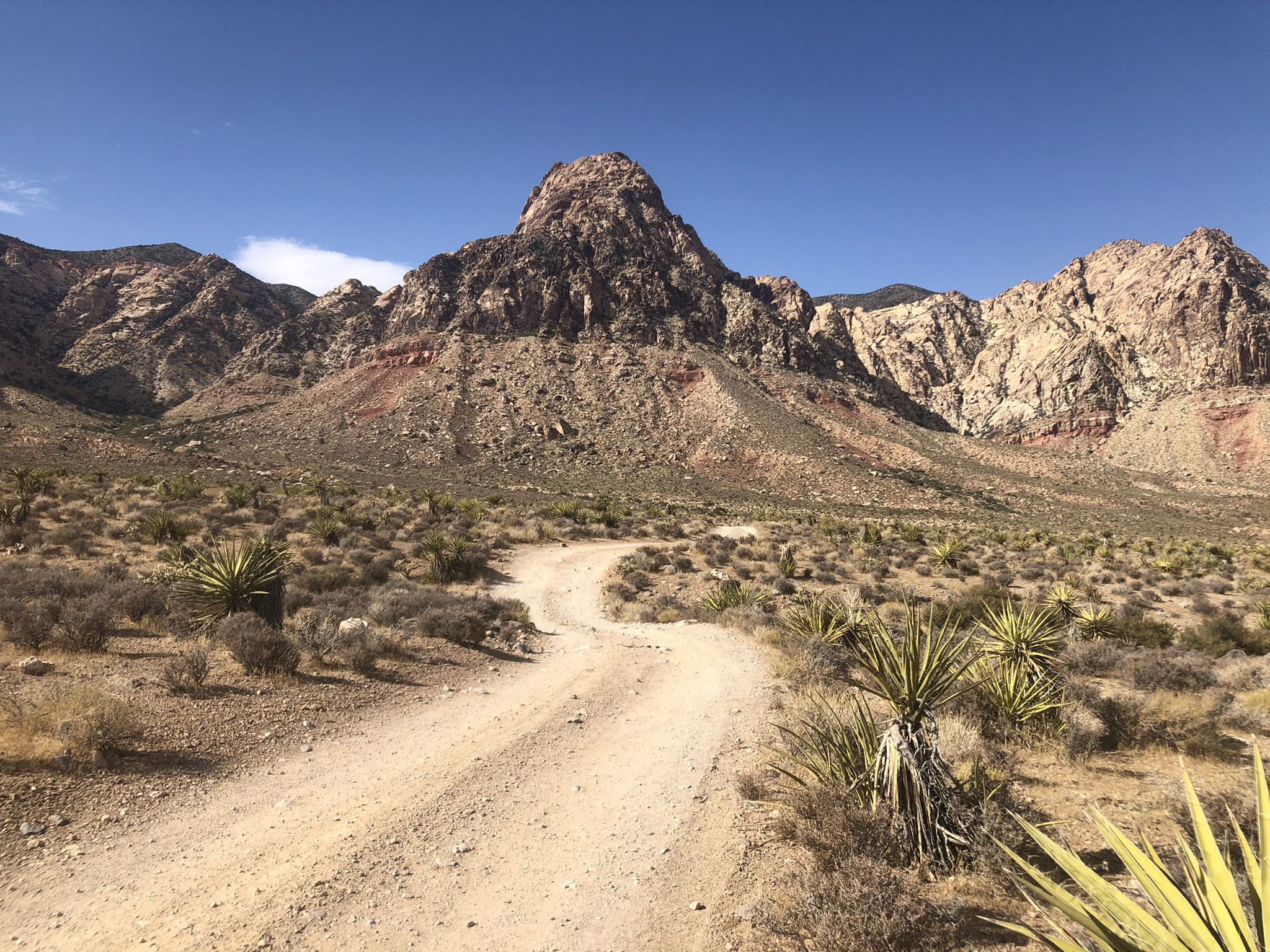 A winding dirt road leads through a sunny desert landscape with rocky mountains. - Late Night and Black Velvet Road Trail