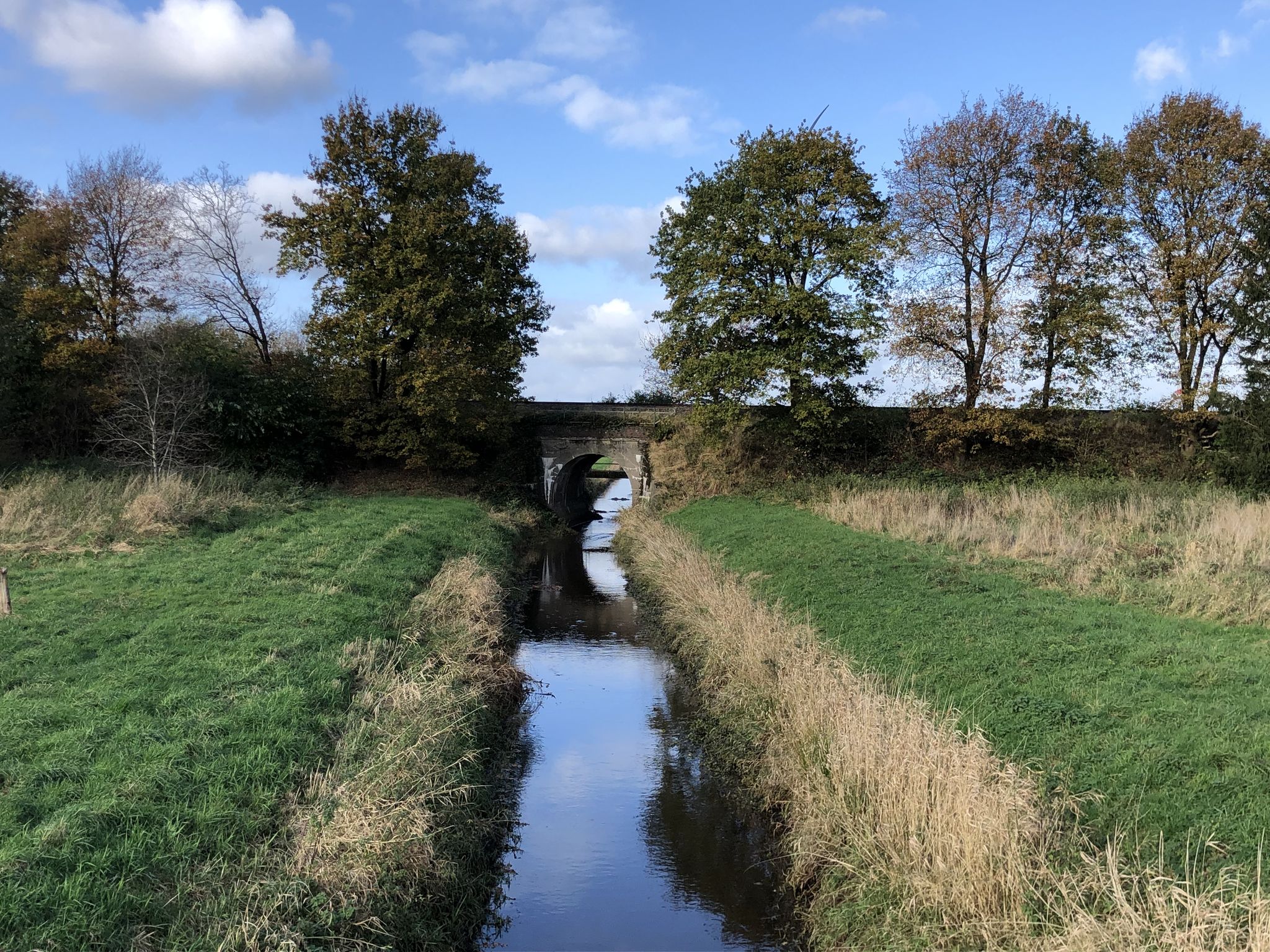 Flöte mit Moorkanal (2)