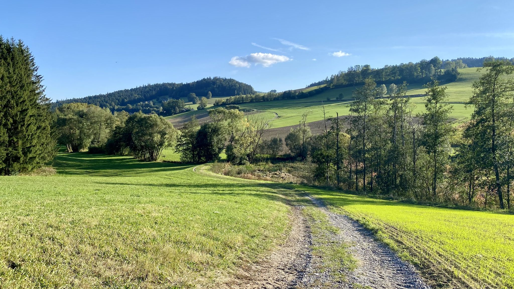 Feldweg zur Kleinen Mühl
