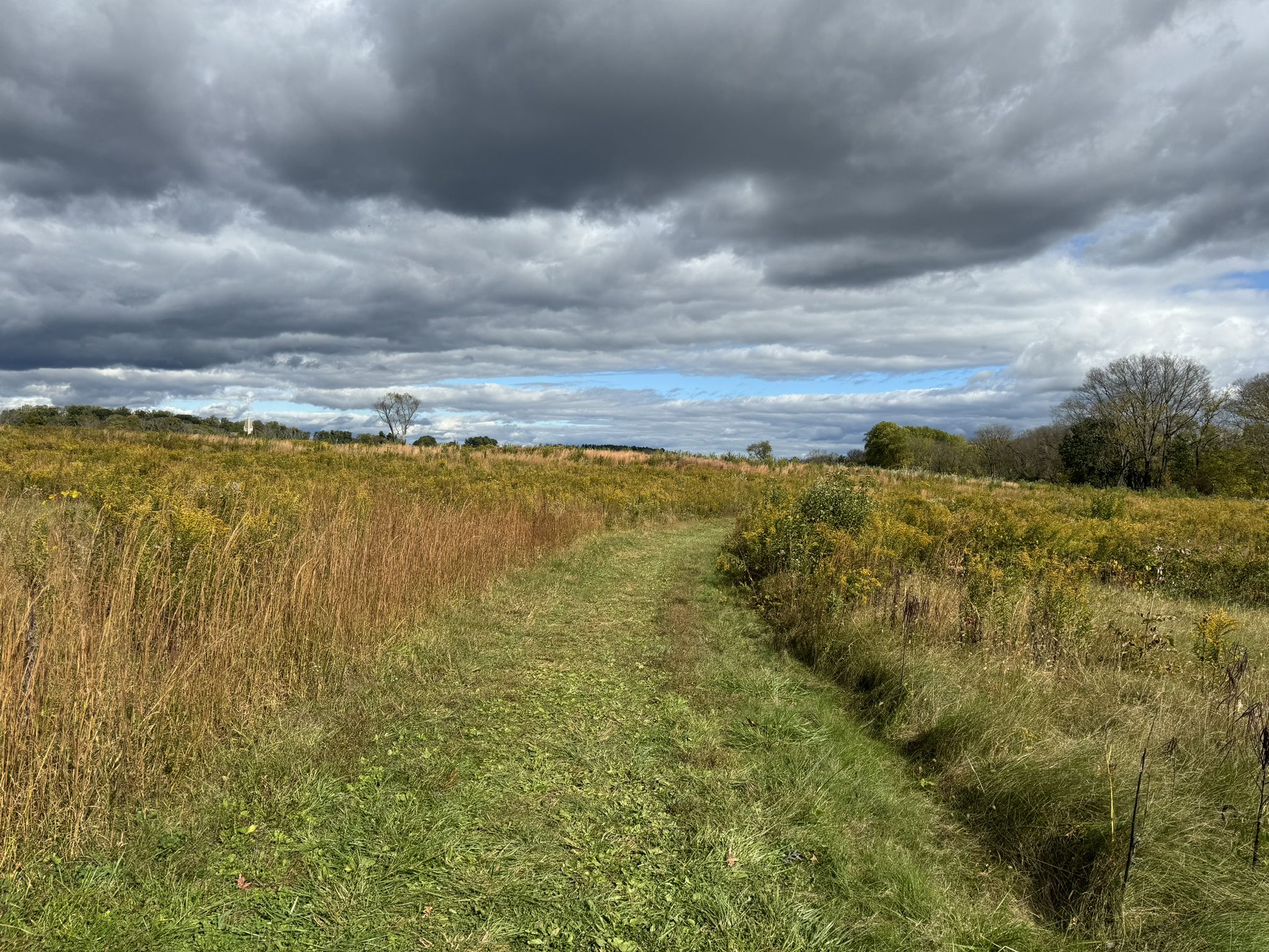 Grassy path winding through a field of tall golden weeds under a cloudy sky. - Joseph Plumb Martin Trail