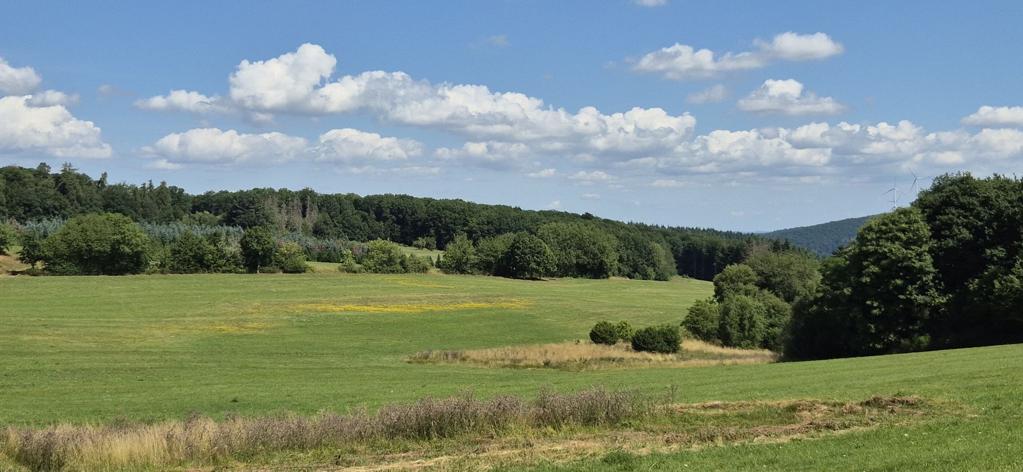 Sommerhimmel über dem Hunsrück