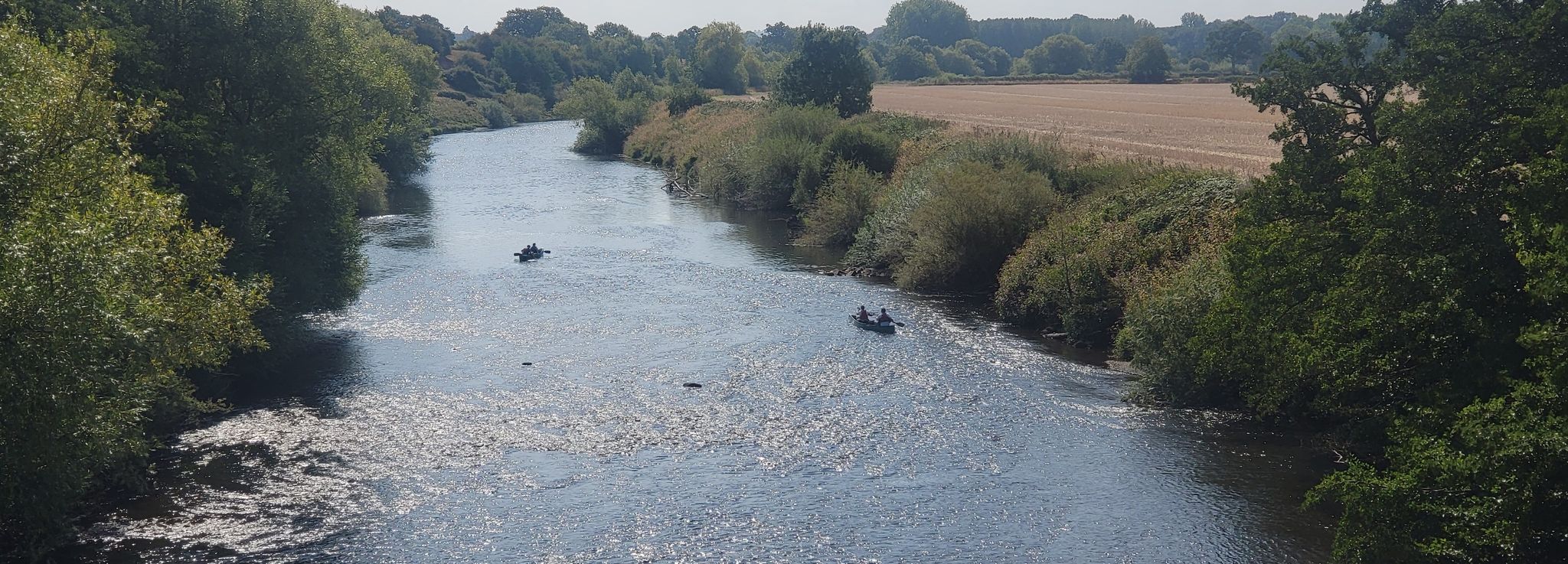paddling along