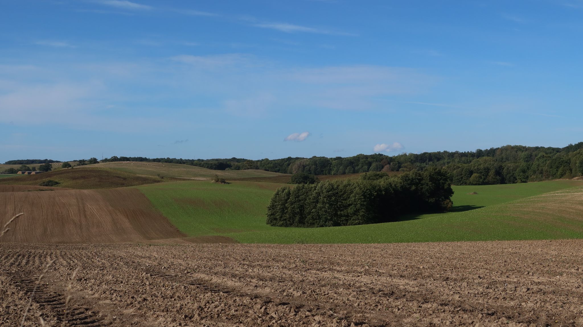 Moränenlandschaft.