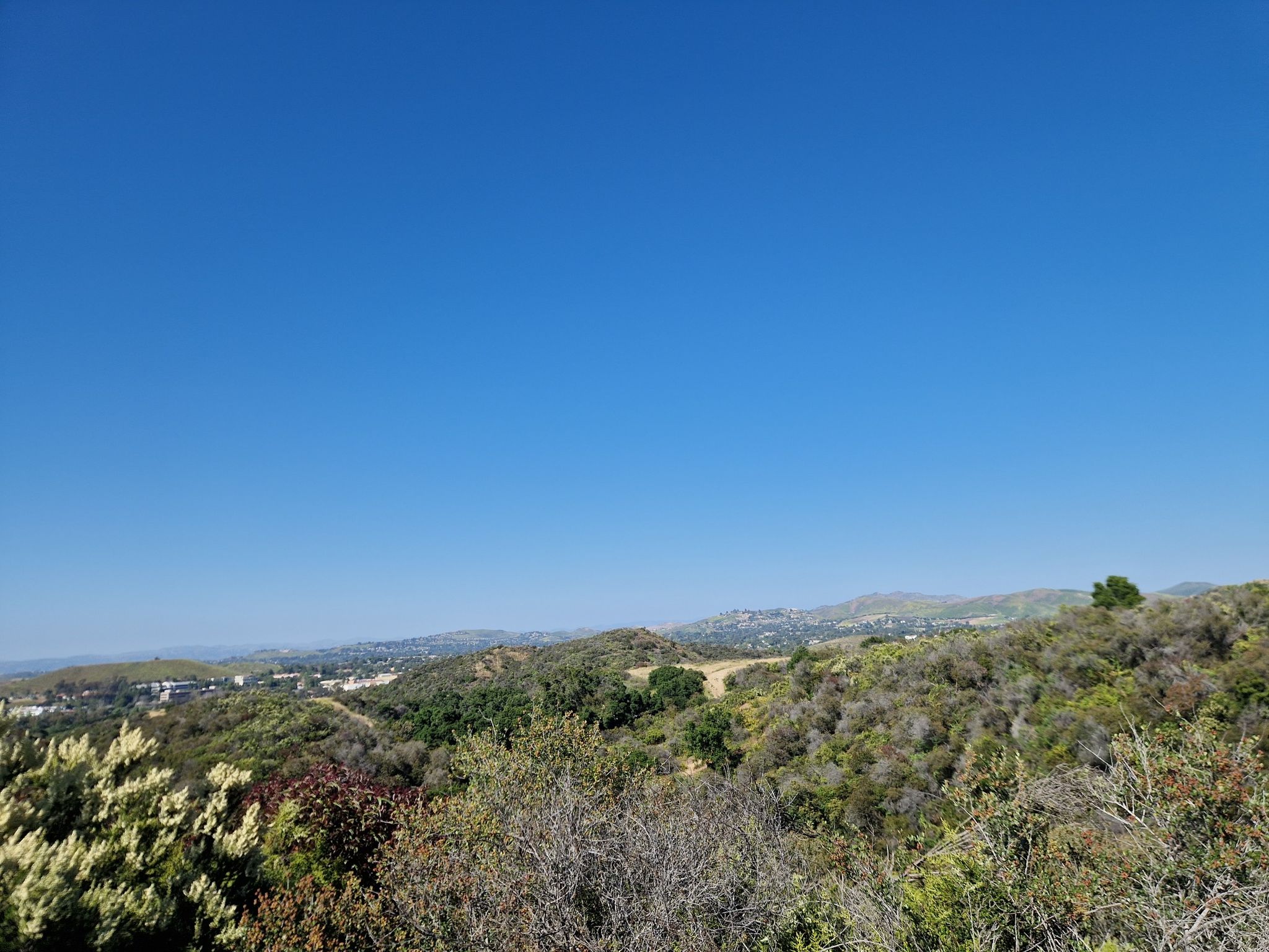 Sunny view of green, brush-covered hills under a clear blue sky. - Vista Loop Trail – Hope Nature Preserve loop from Thousand Oaks