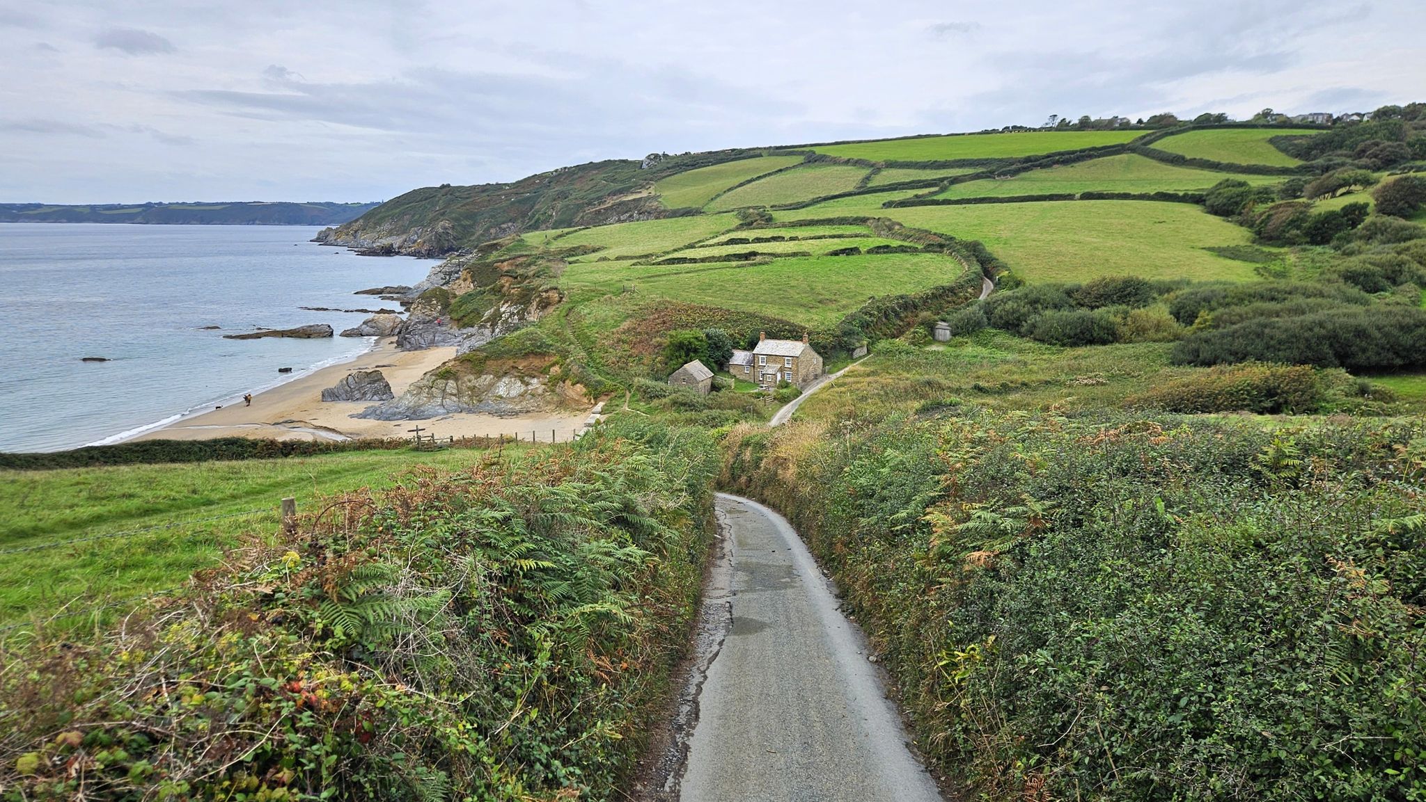 Rückweg nach Caerhays