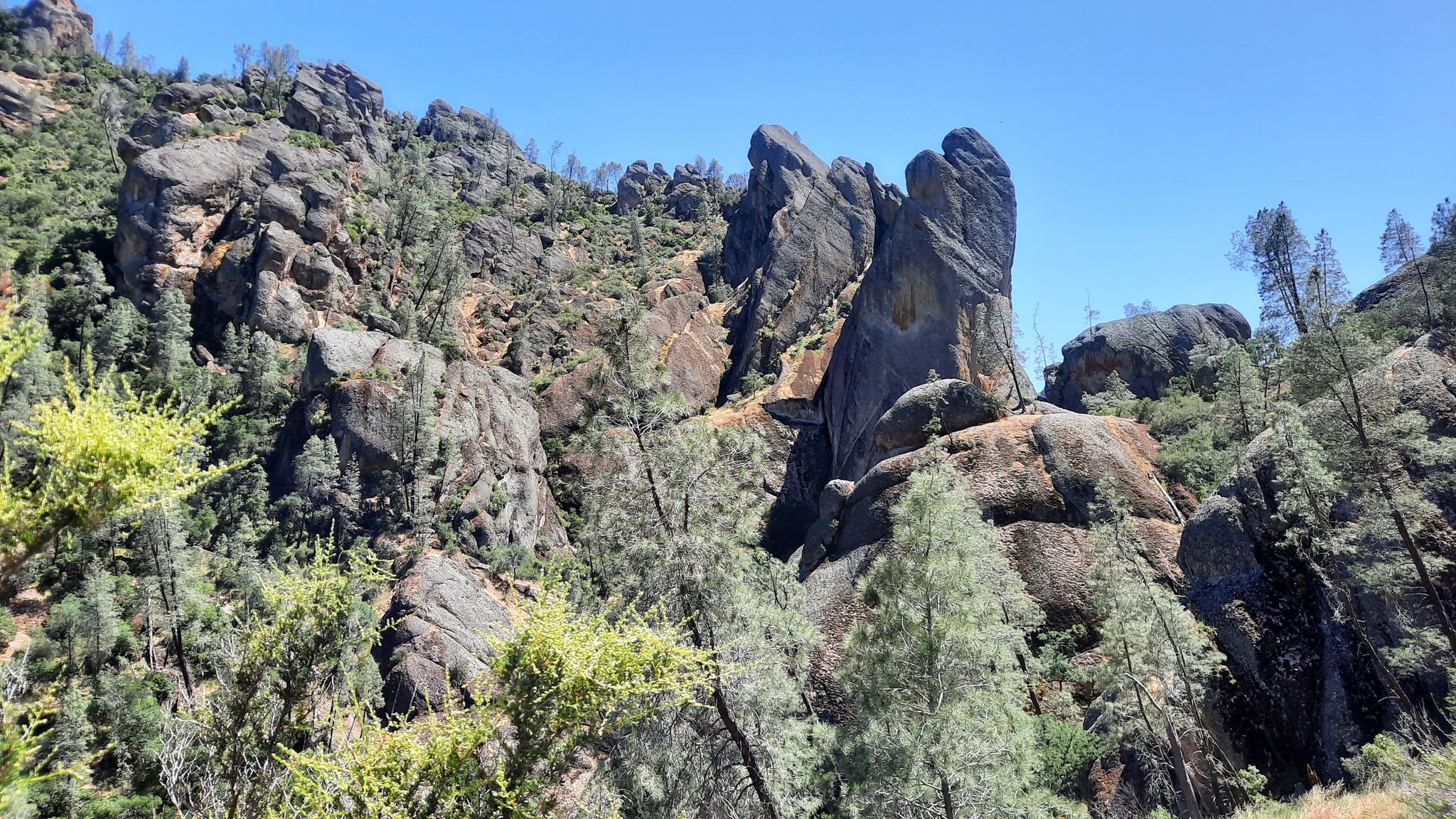 Jagged rock spires and formations rise from a green, forested hillside under bright sun. - Balconies Caves – Bench Trail – Southern Section loop from Shuttle Bus Stop