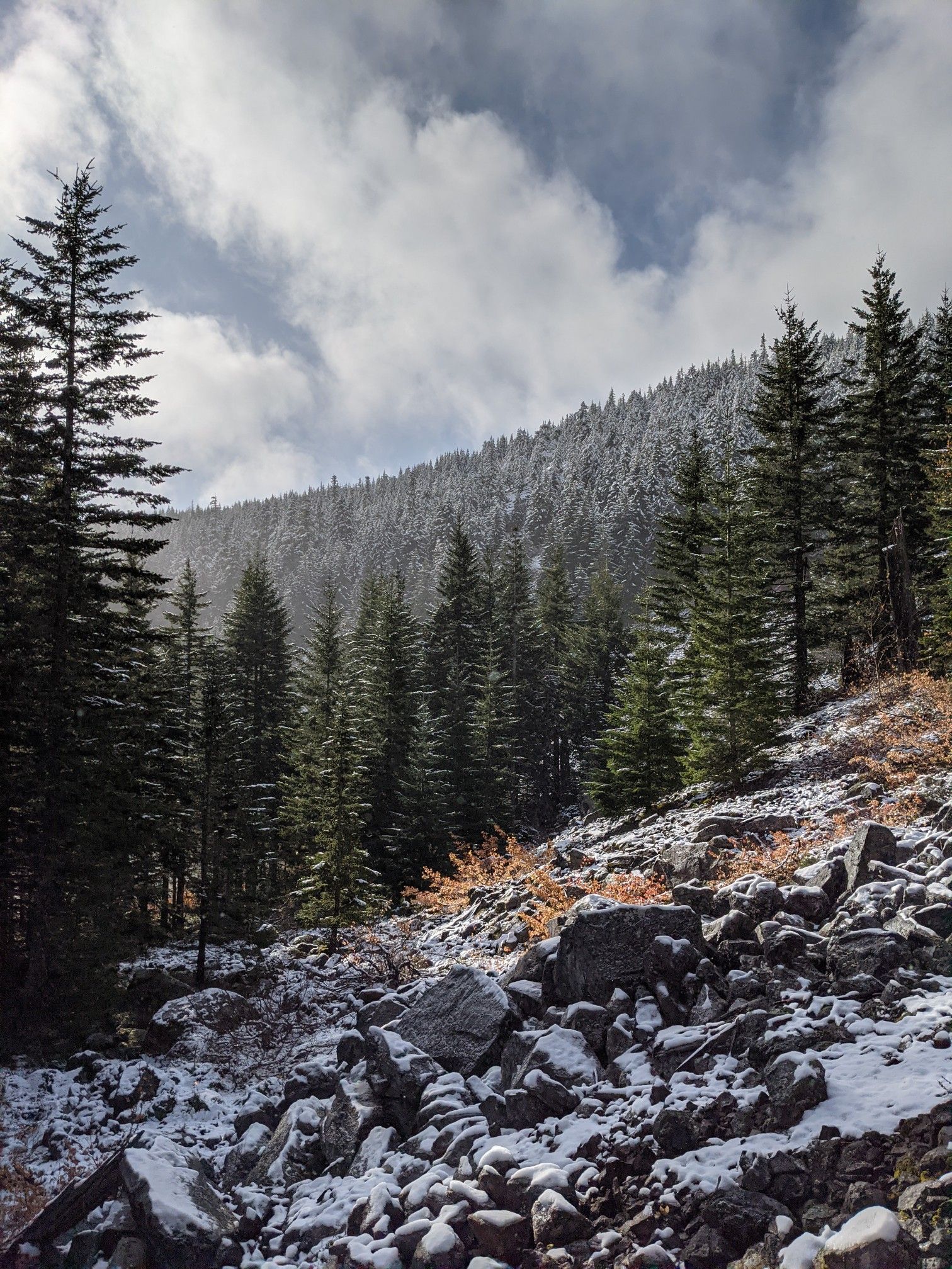 Snow-covered rocks and ground in a dense pine forest under a cloudy sky. - Mount Defiance and Warren Lake Loop